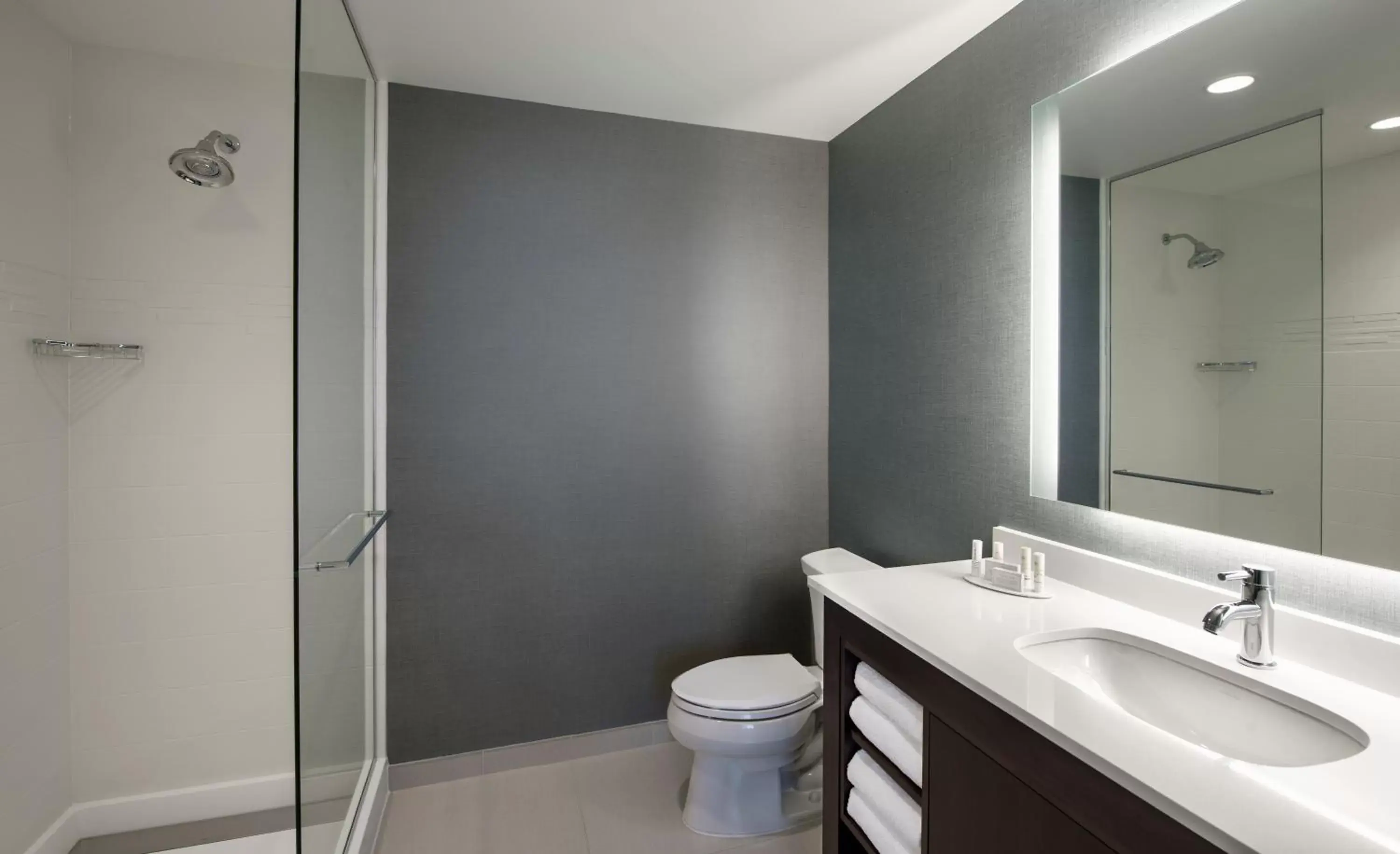 Shower, Bathroom in Residence Inn by Marriott Calgary South