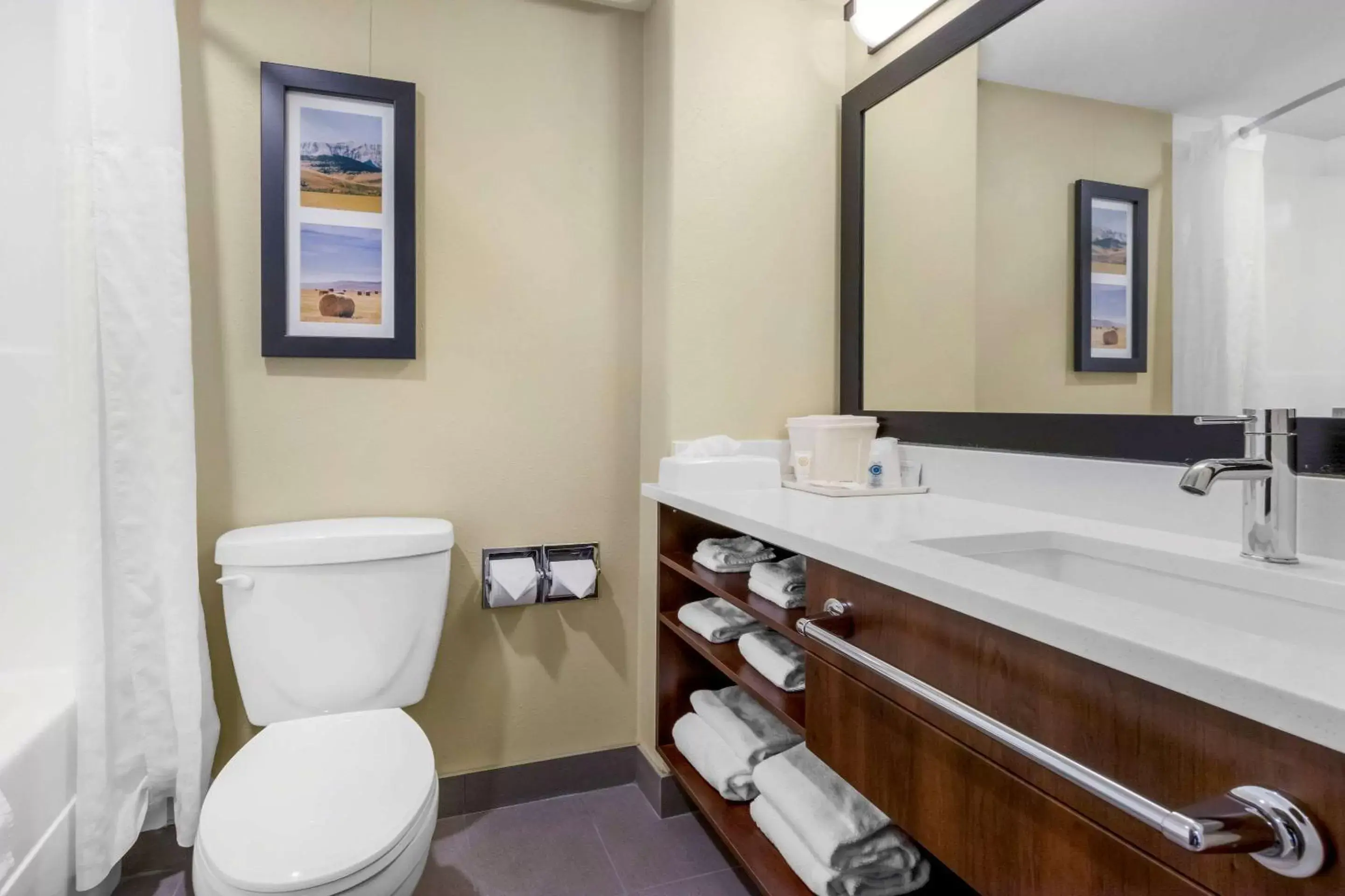 Bathroom in Comfort Inn Lethbridge