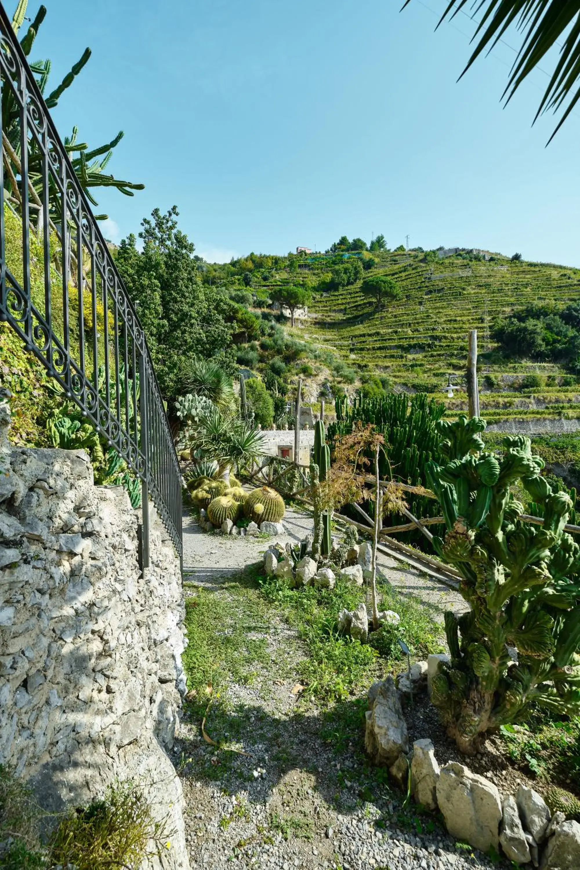 Garden in Hotel Botanico San Lazzaro