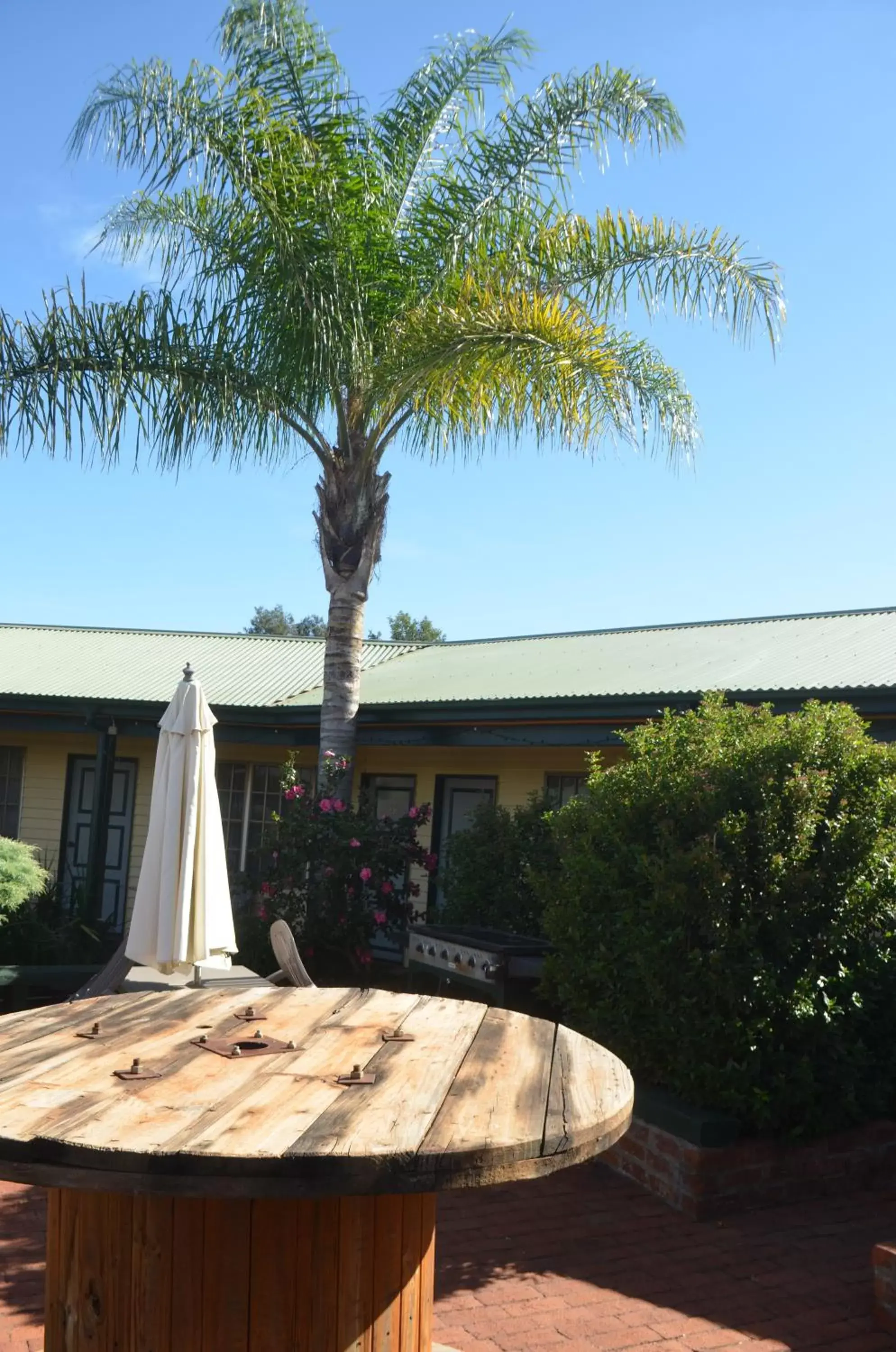 BBQ facilities in Ten Dollar Town Motel