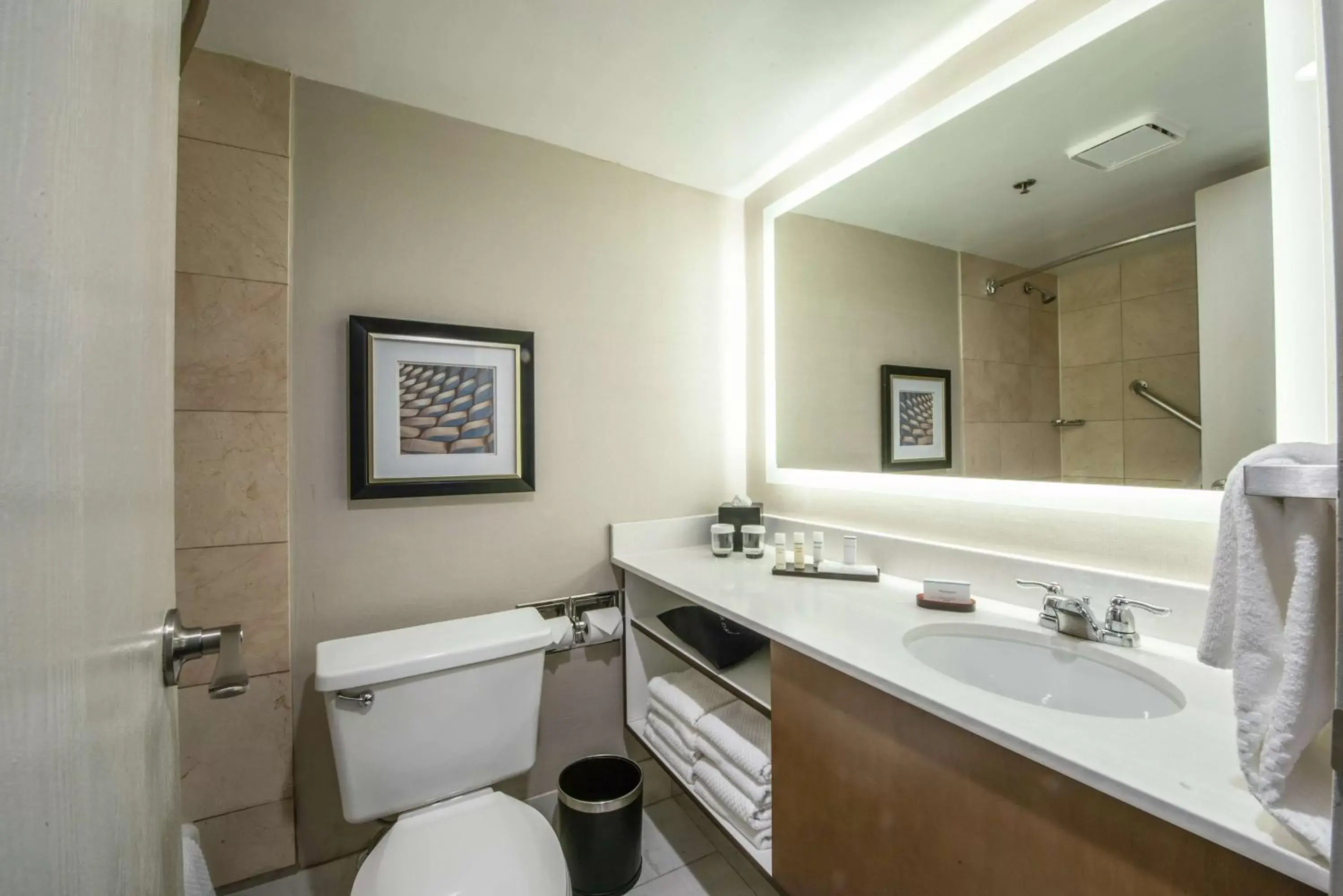Bathroom in Embassy Suites by Hilton Chicago Schaumburg Woodfield