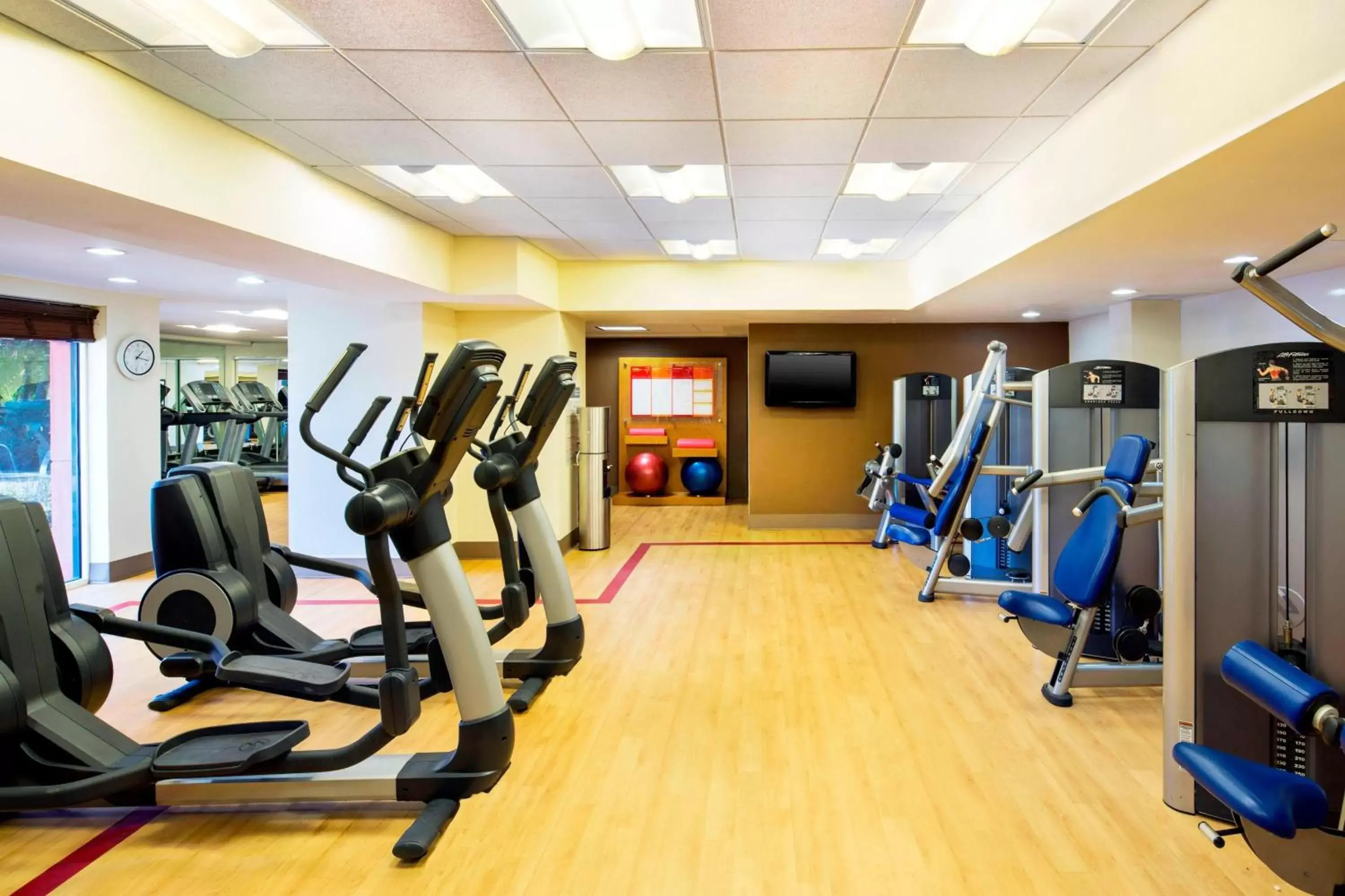 Fitness centre/facilities, Fitness Center/Facilities in Sheraton Orlando North