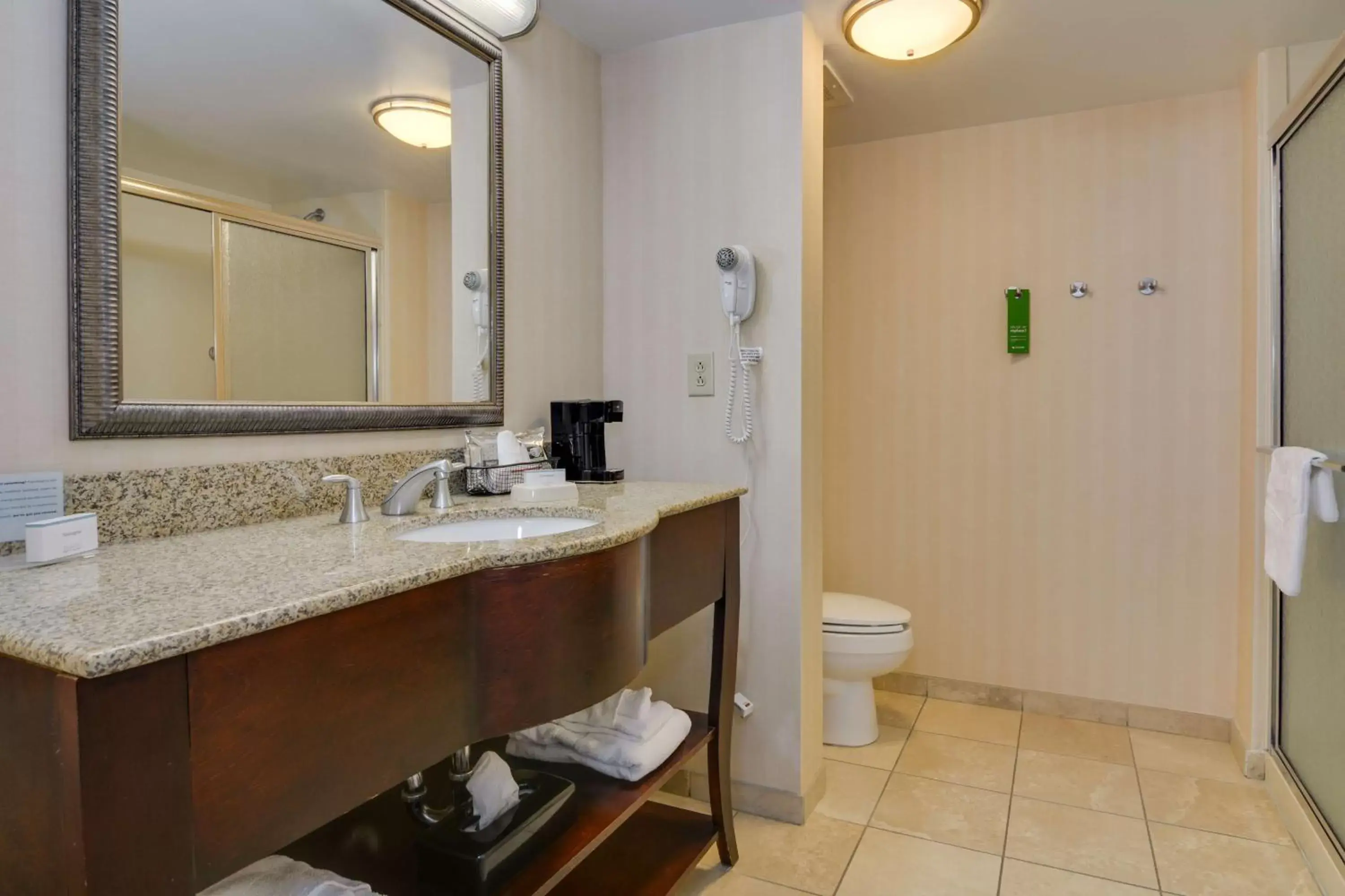 Bathroom in Hampton Inn Atlanta-Fairburn