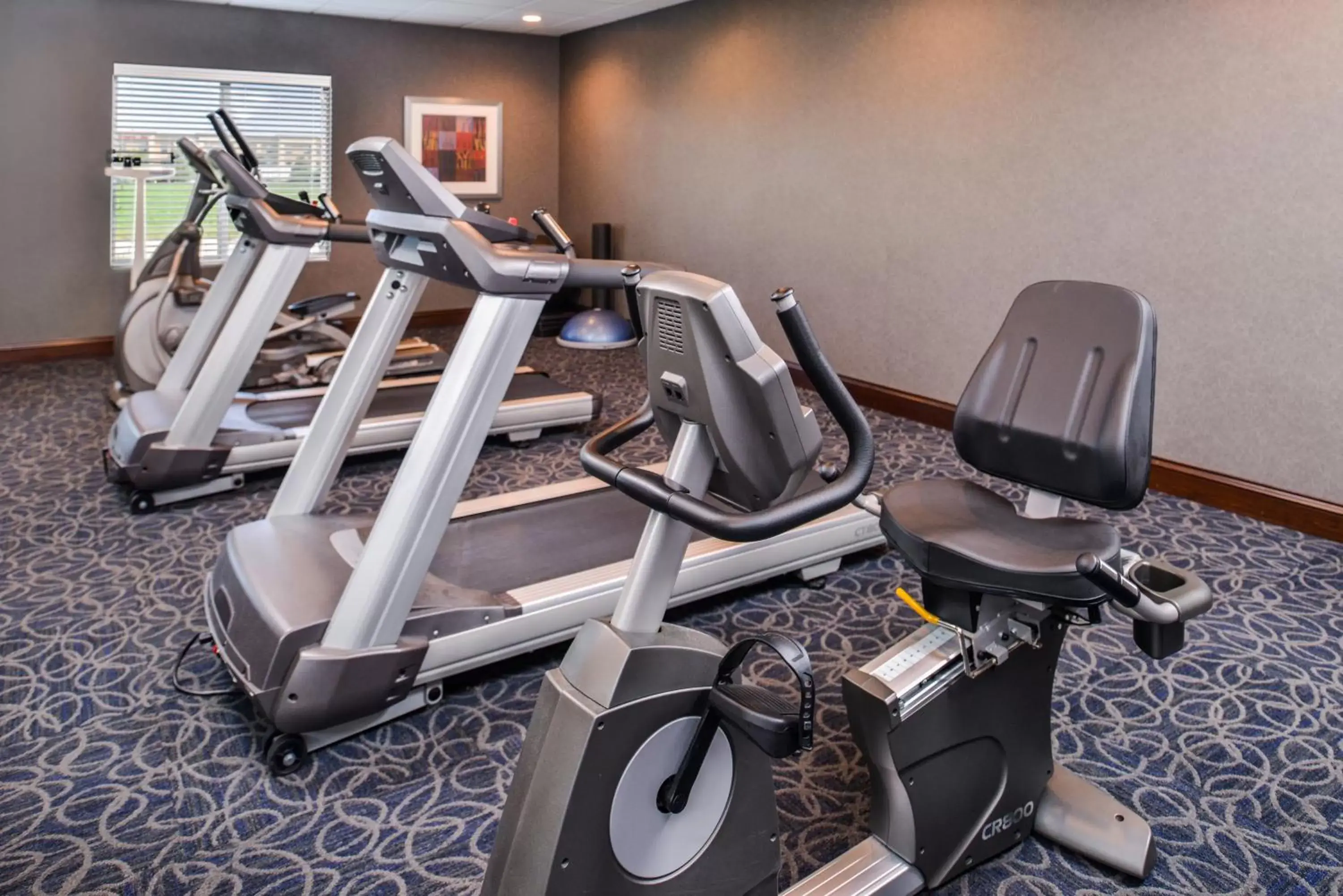 Fitness centre/facilities, Fitness Center/Facilities in Holiday Inn Express Hotel & Suites York, an IHG Hotel