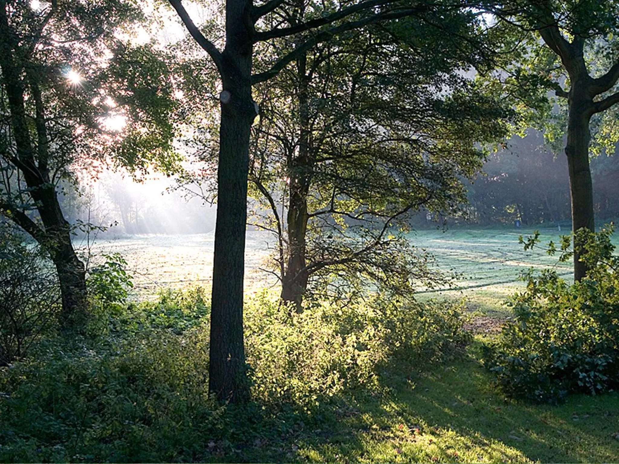 Neighbourhood, Natural Landscape in Buitengoed De Uylenburg