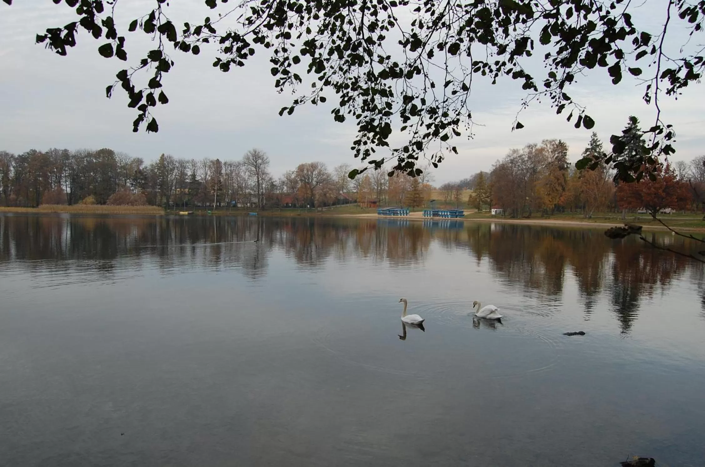 Hiking in Przystanek Czapla
