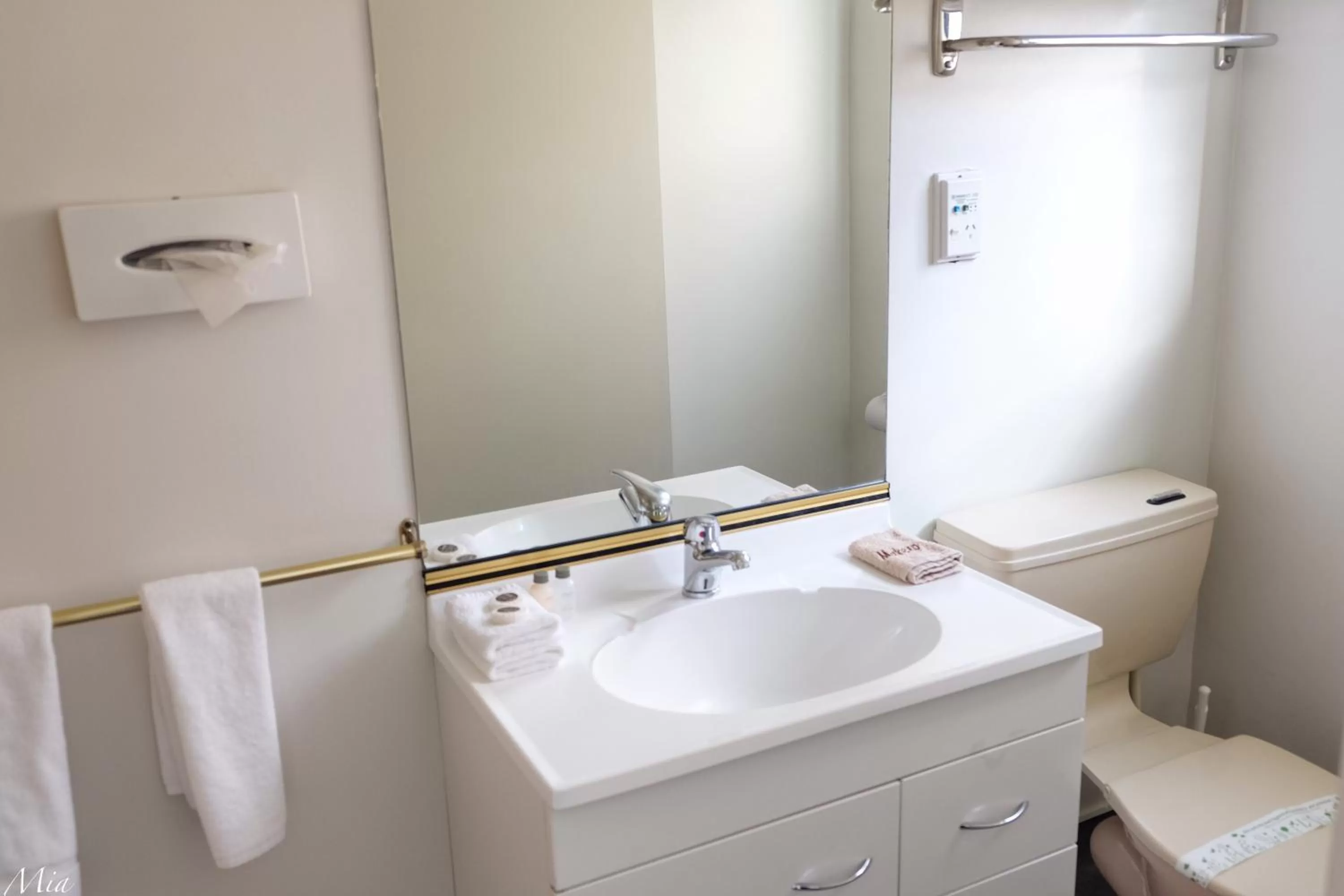 Bathroom in Marksman Motor Inn