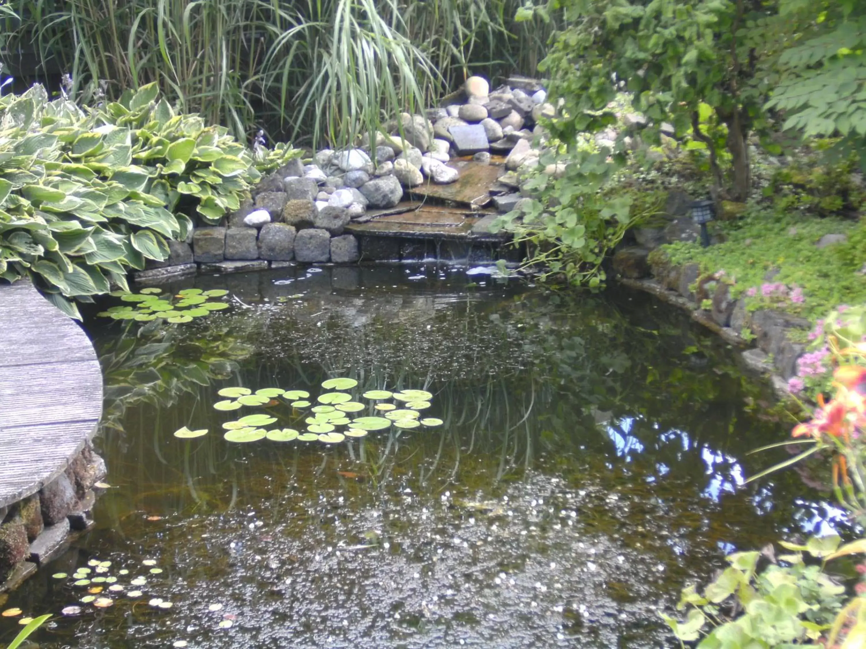 Garden view, Other Animals in 't Laaisterplakky