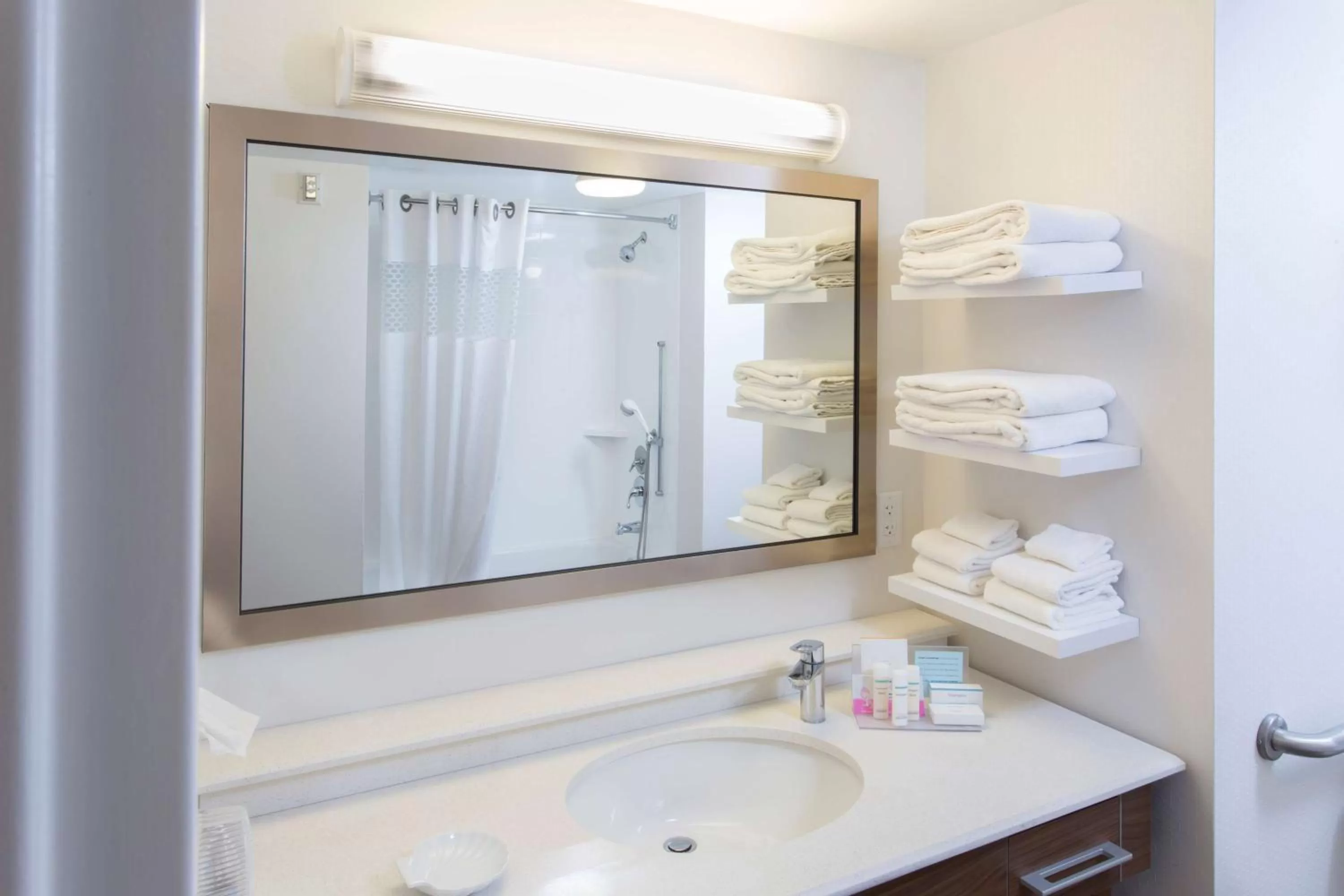 Bathroom in Hampton Inn Troy