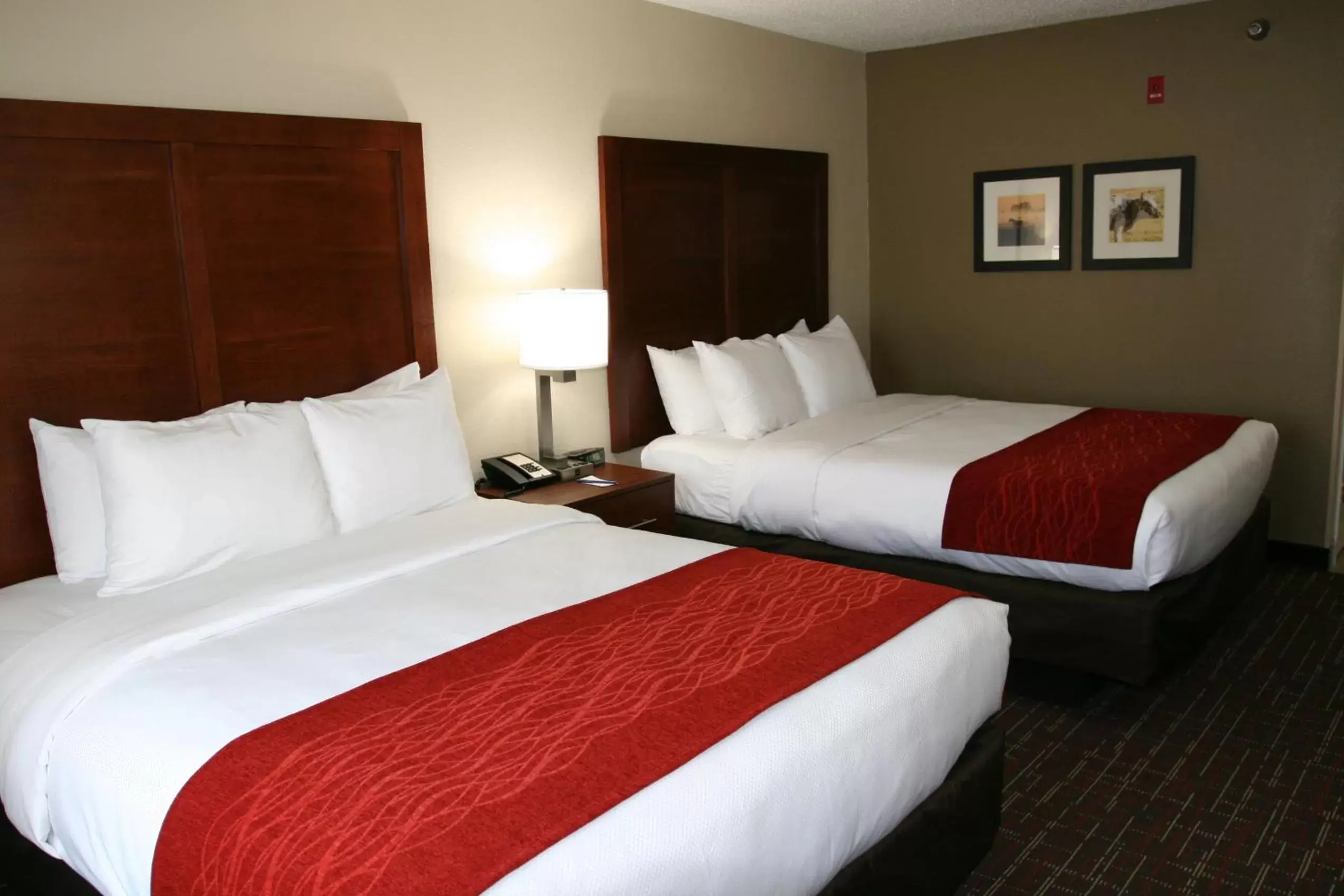 Bedroom, Bed in Comfort Inn Wichita Falls near University