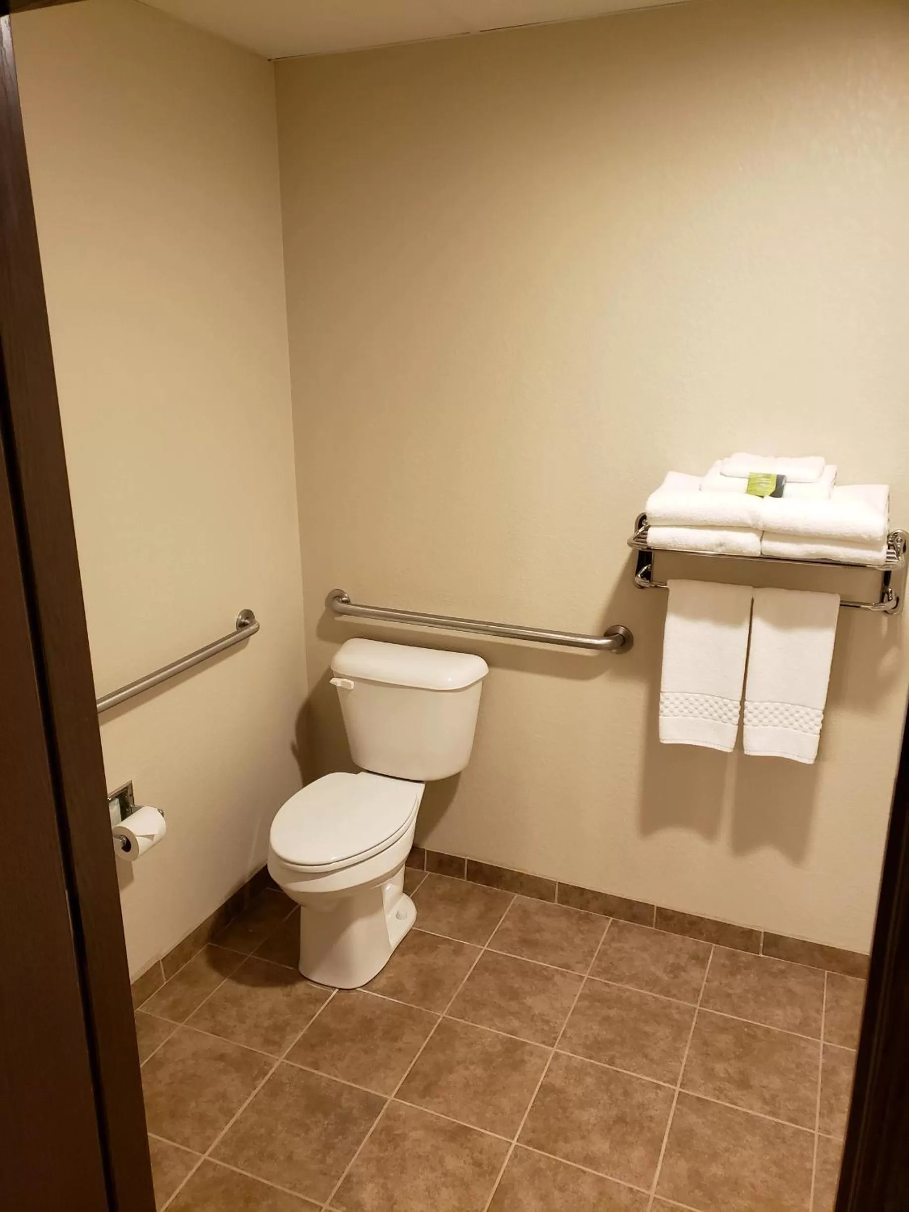 Toilet in Cobblestone Inn & Suites - Manning
