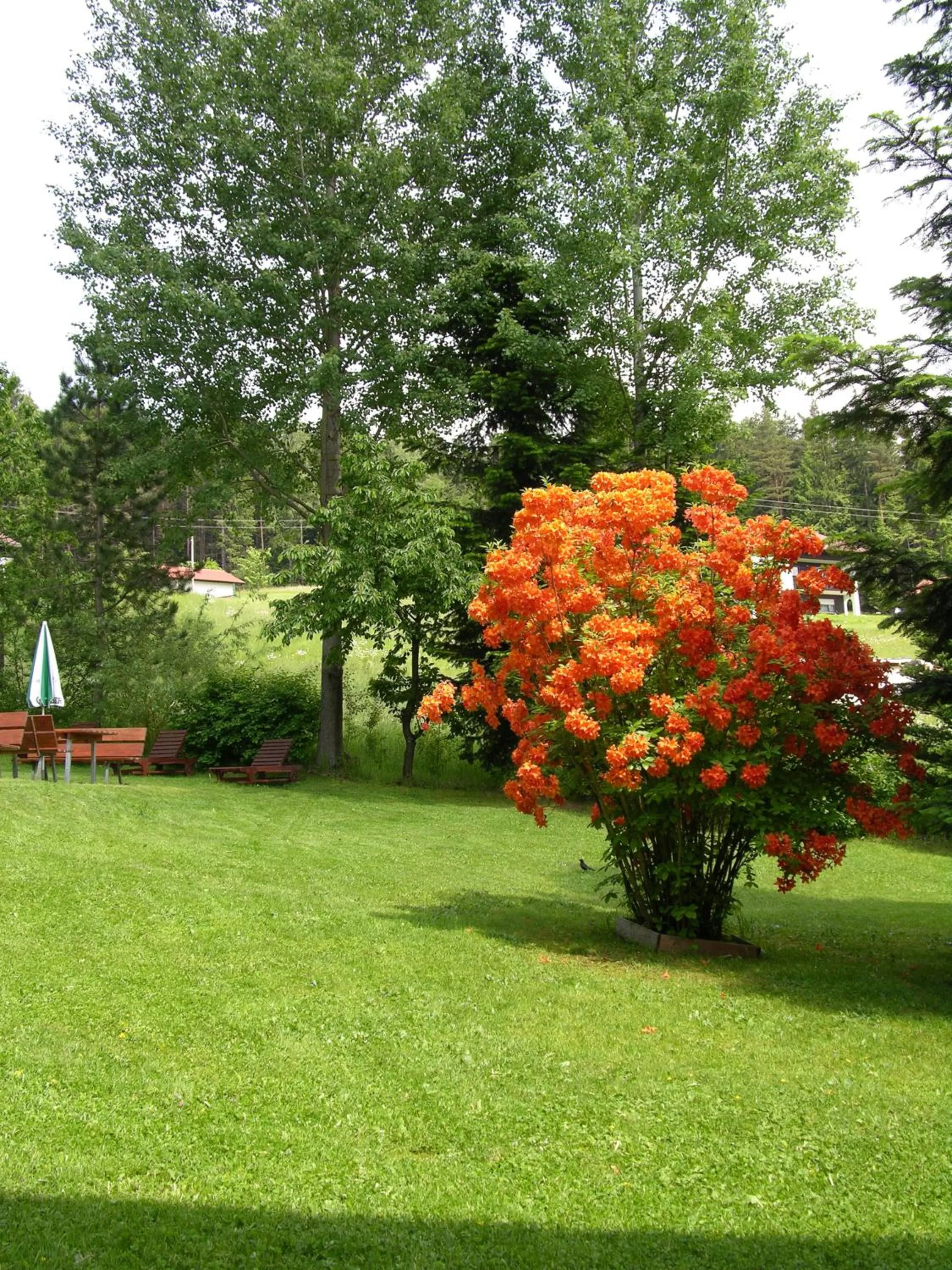 Garden in GarniHotel - Arberblick