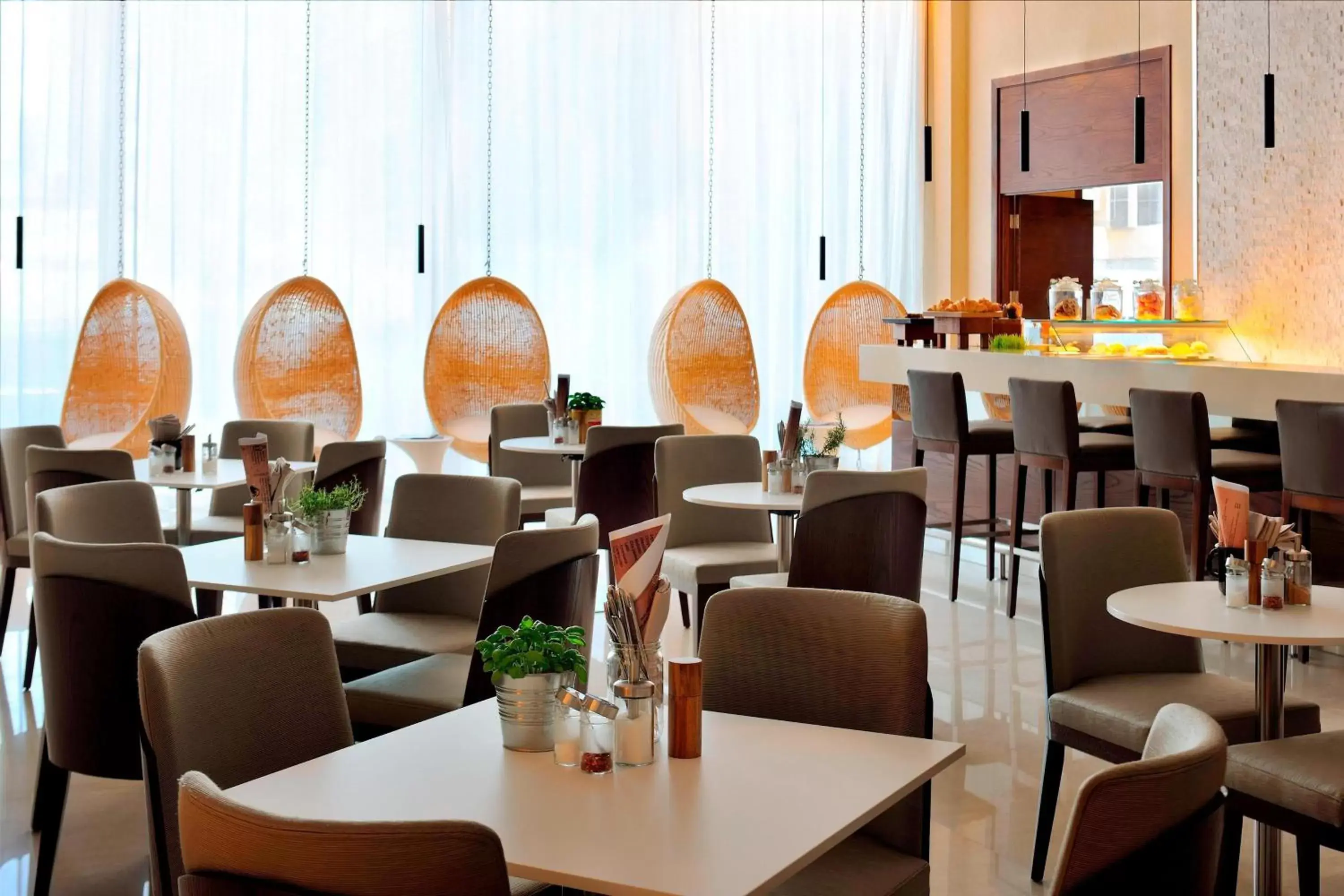 Restaurant/Places to Eat in Courtyard by Marriott World Trade Center, Abu Dhabi