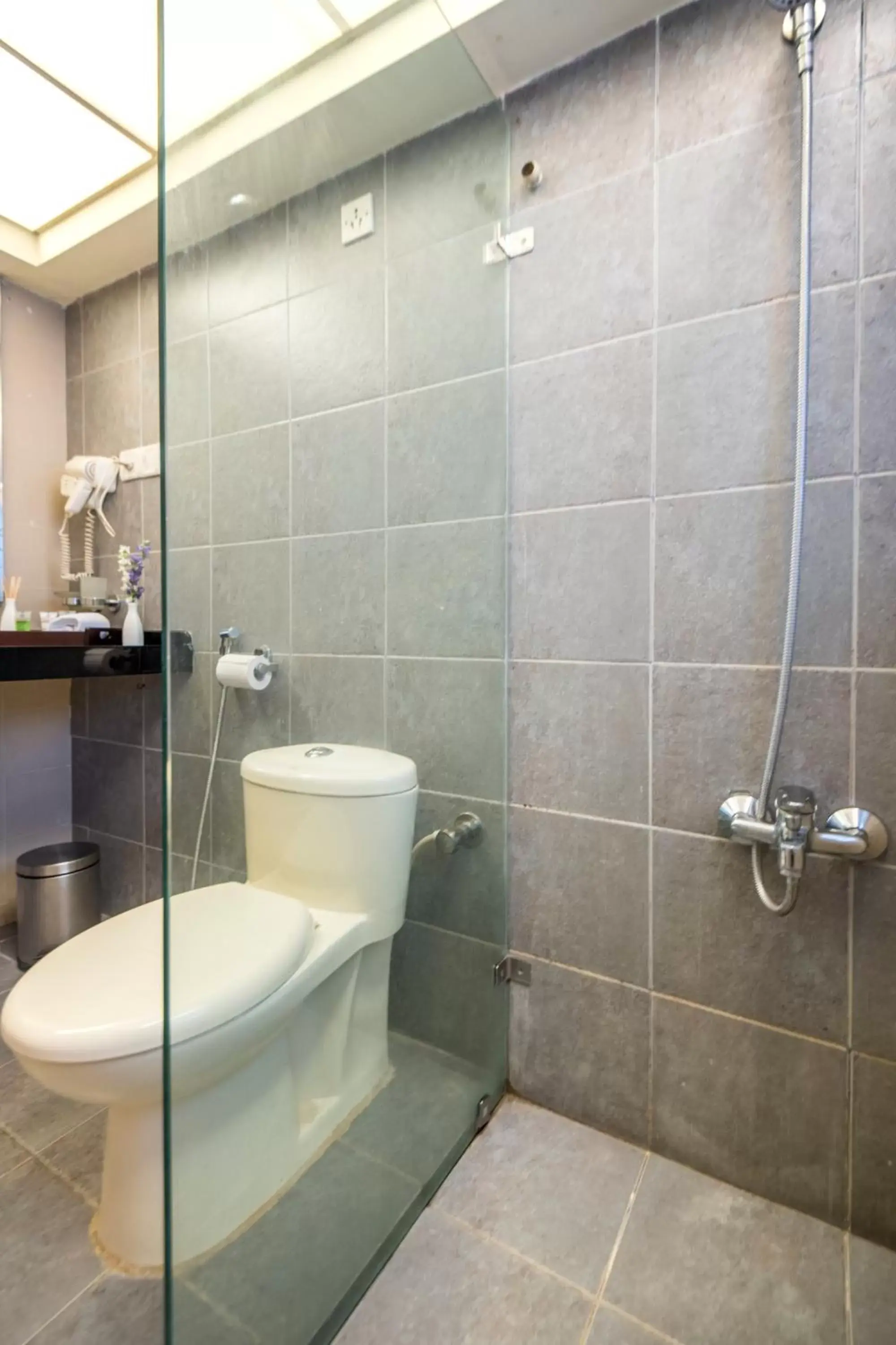 Shower, Bathroom in Hotel Park Central Comfort- E- Suites