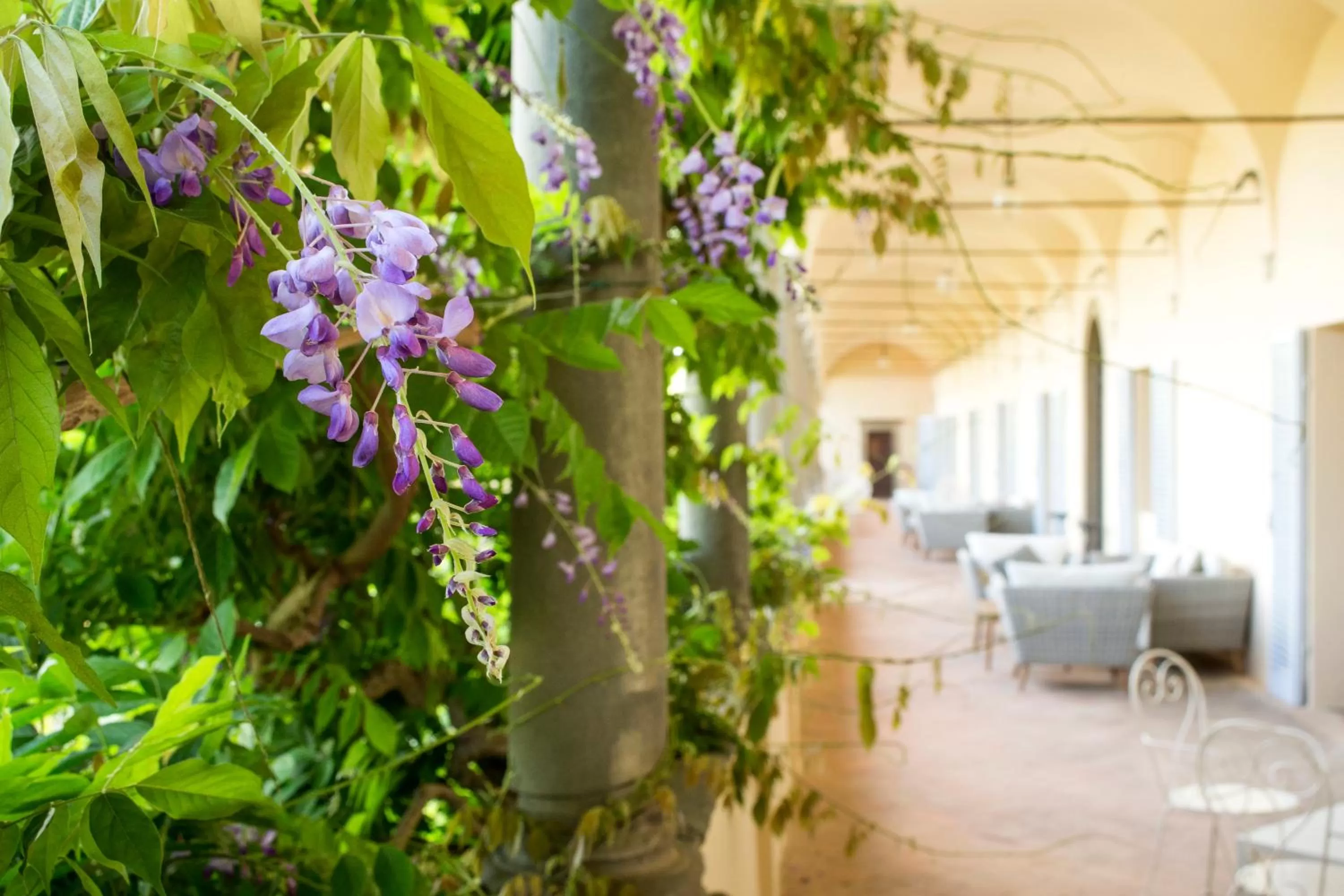 Area and facilities in Certosa di Pontignano Residenza d'Epoca - Place of Charme