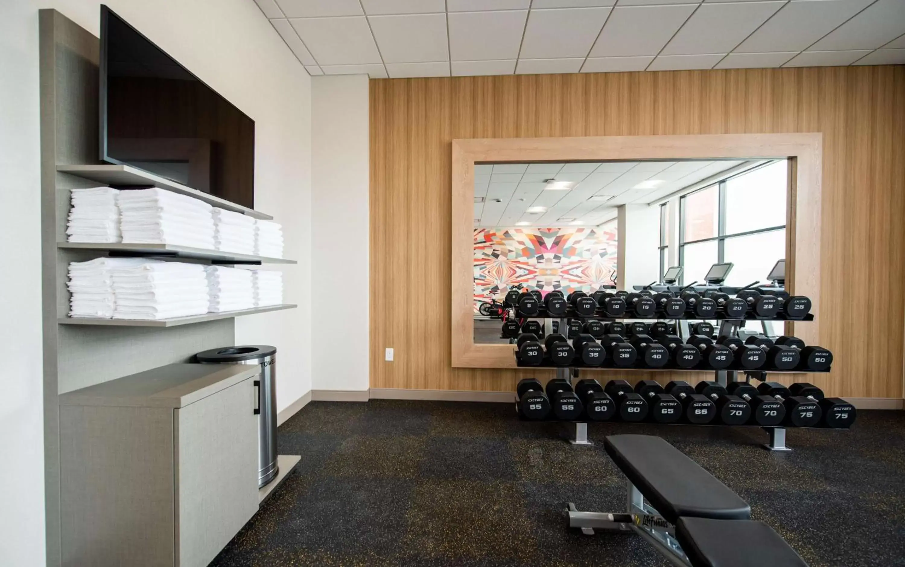 Fitness centre/facilities, Fitness Center/Facilities in Hilton Garden Inn Moncton Downtown, Nb