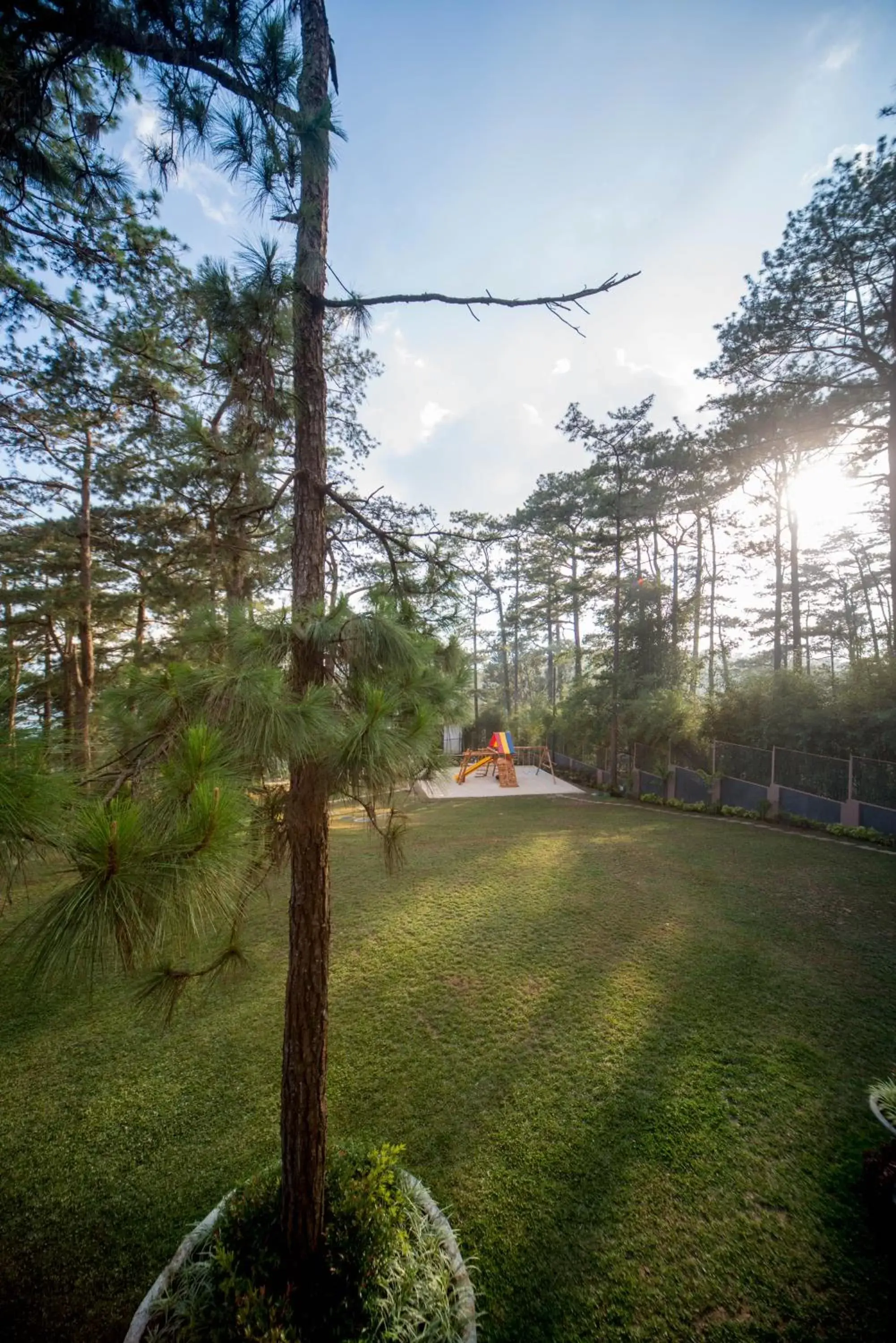 Garden in Grand Sierra Pines Hotel