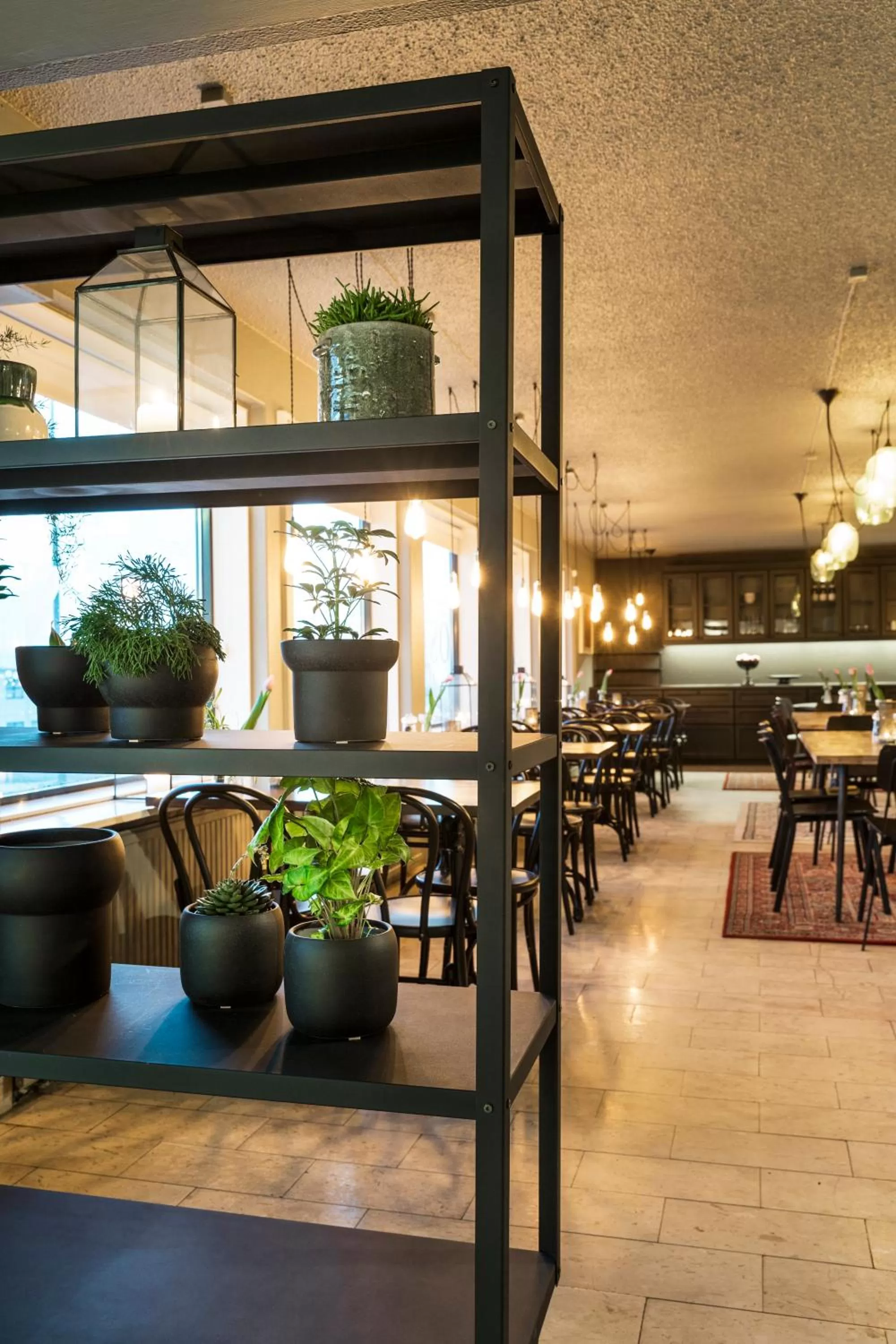 Restaurant/places to eat in Hotel Höfn