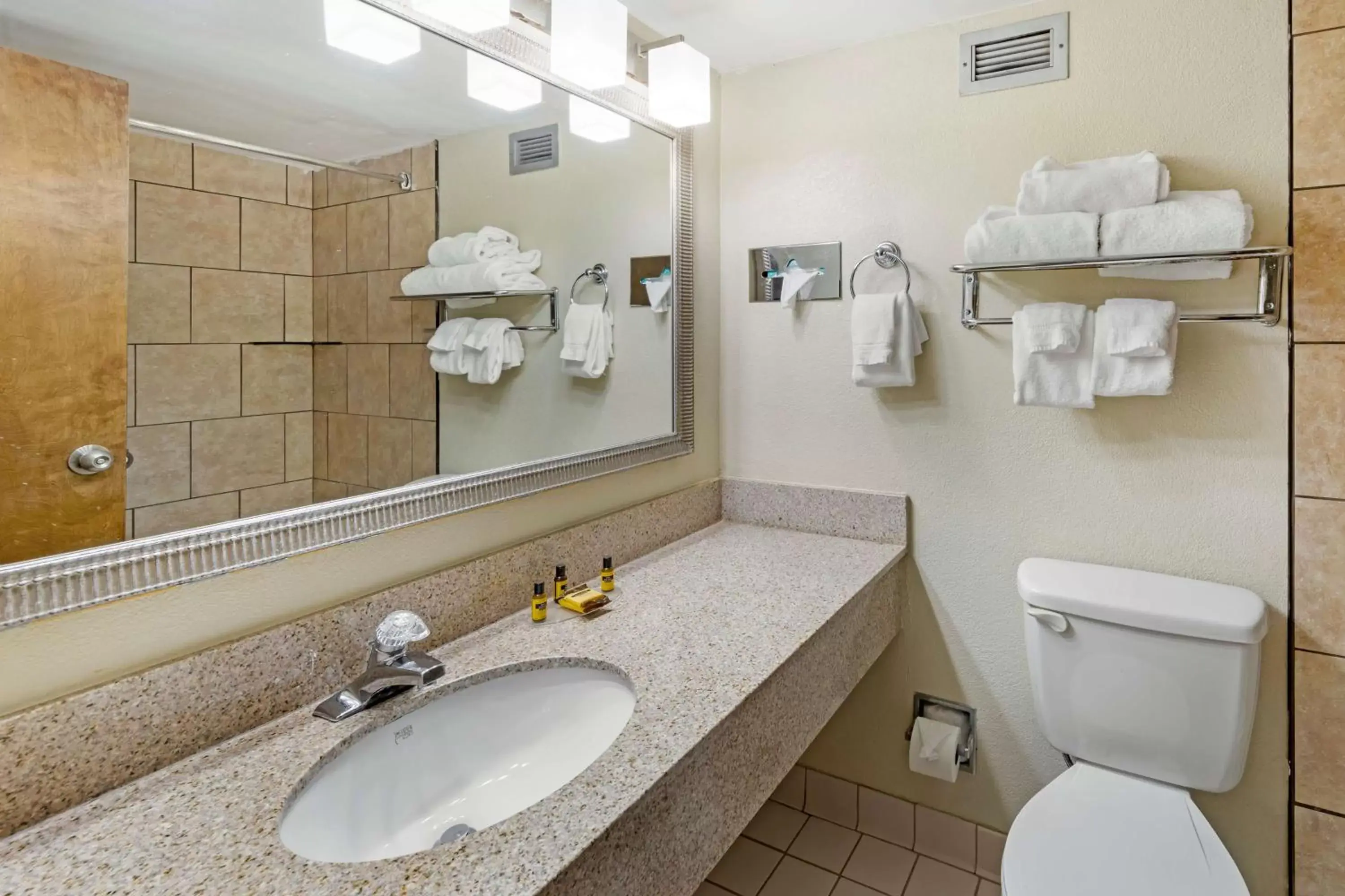 Bathroom in Best Western Plus Madison-Huntsville Hotel