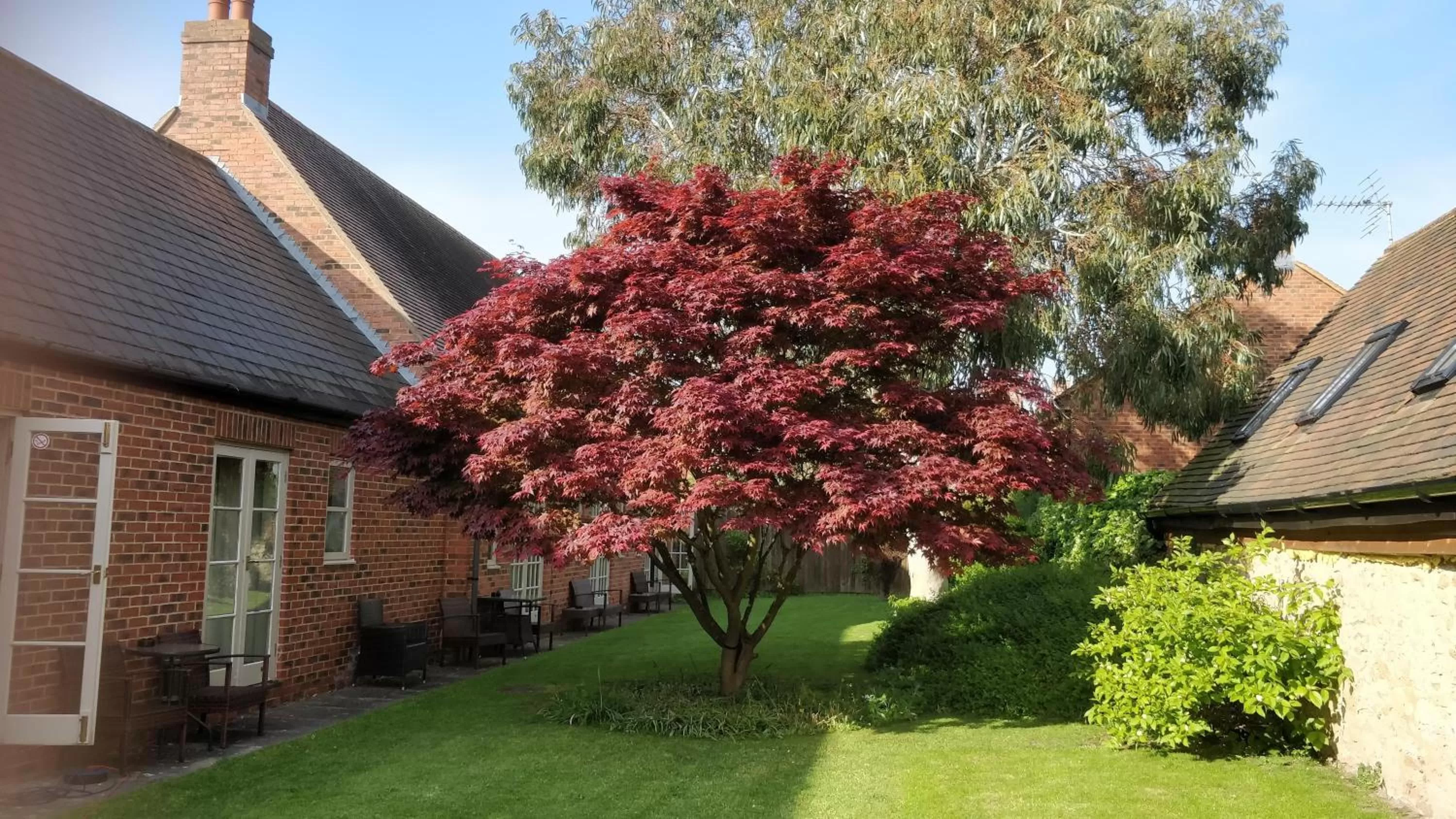 Patio in The Spread Eagle Hotel