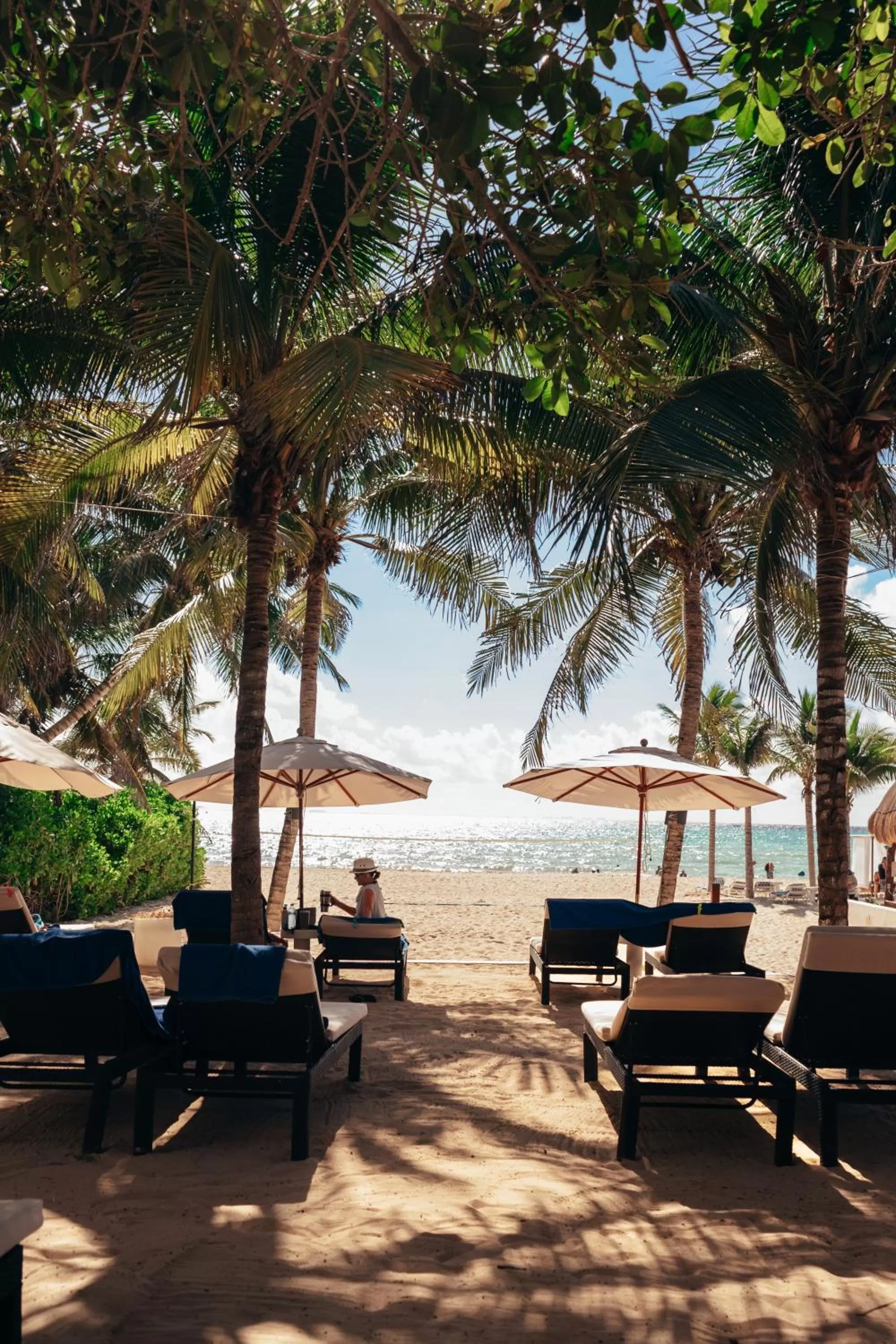 Beach in The Reef Playacar Beach Resort & Spa-Optional All Inclusive