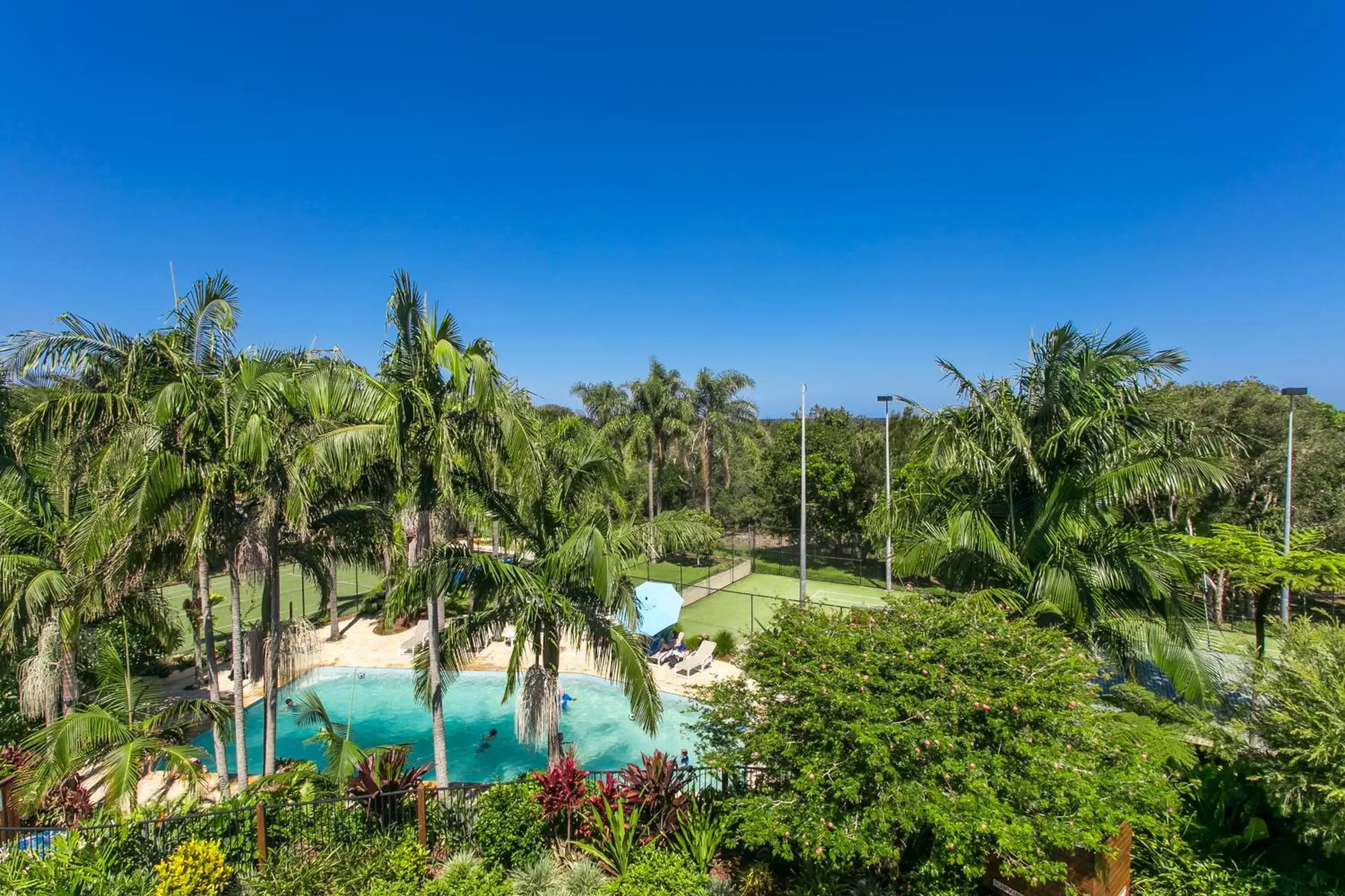 Area and facilities, Swimming Pool in The Oasis Apartments and Treetop Houses