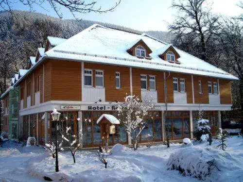 Winter in Kurpark Flair Hotel Im Ilsetal