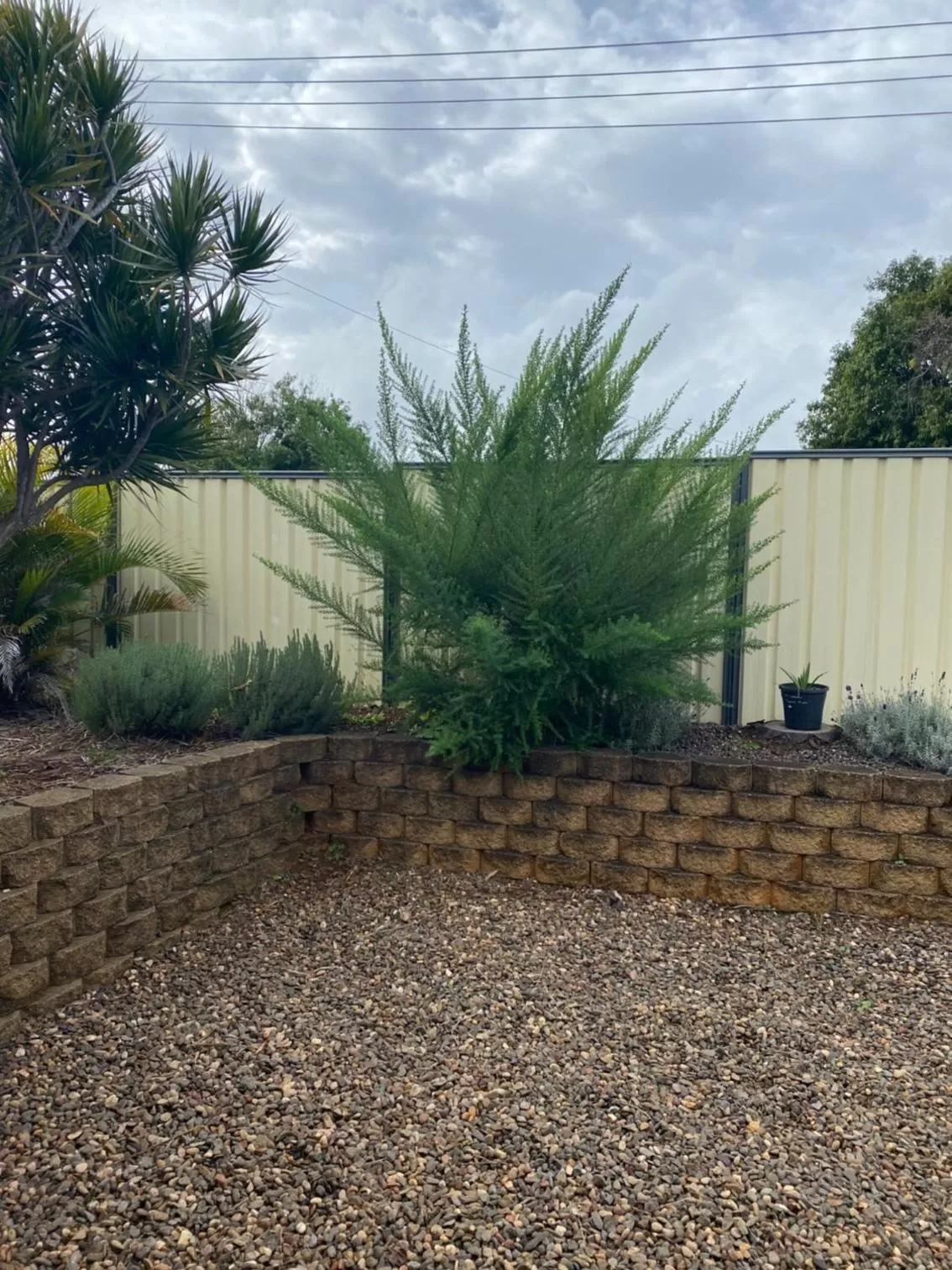 Garden view in Sunray Motor Inn