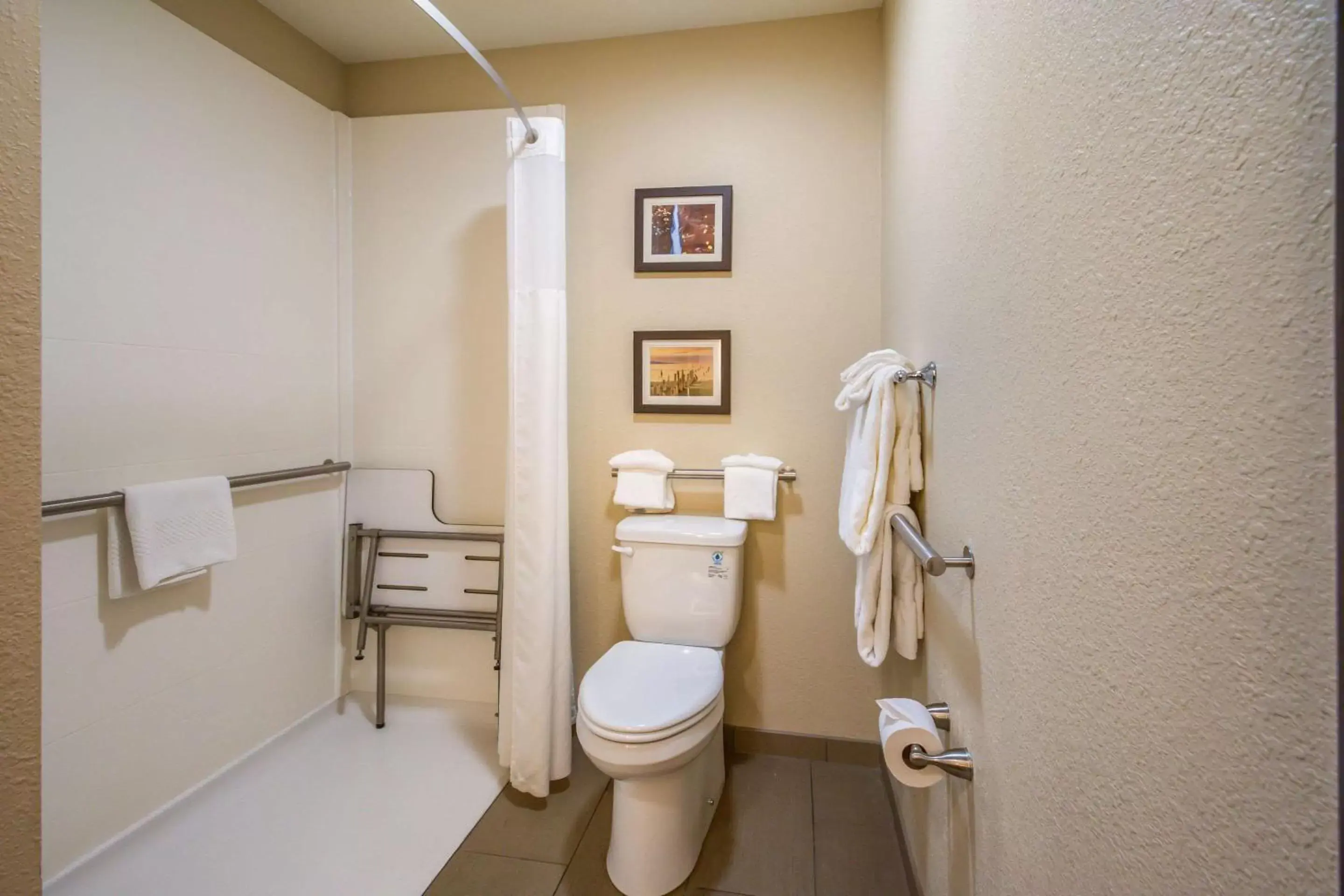 Bathroom in Comfort Inn Lehi - Thanksgiving Point Area