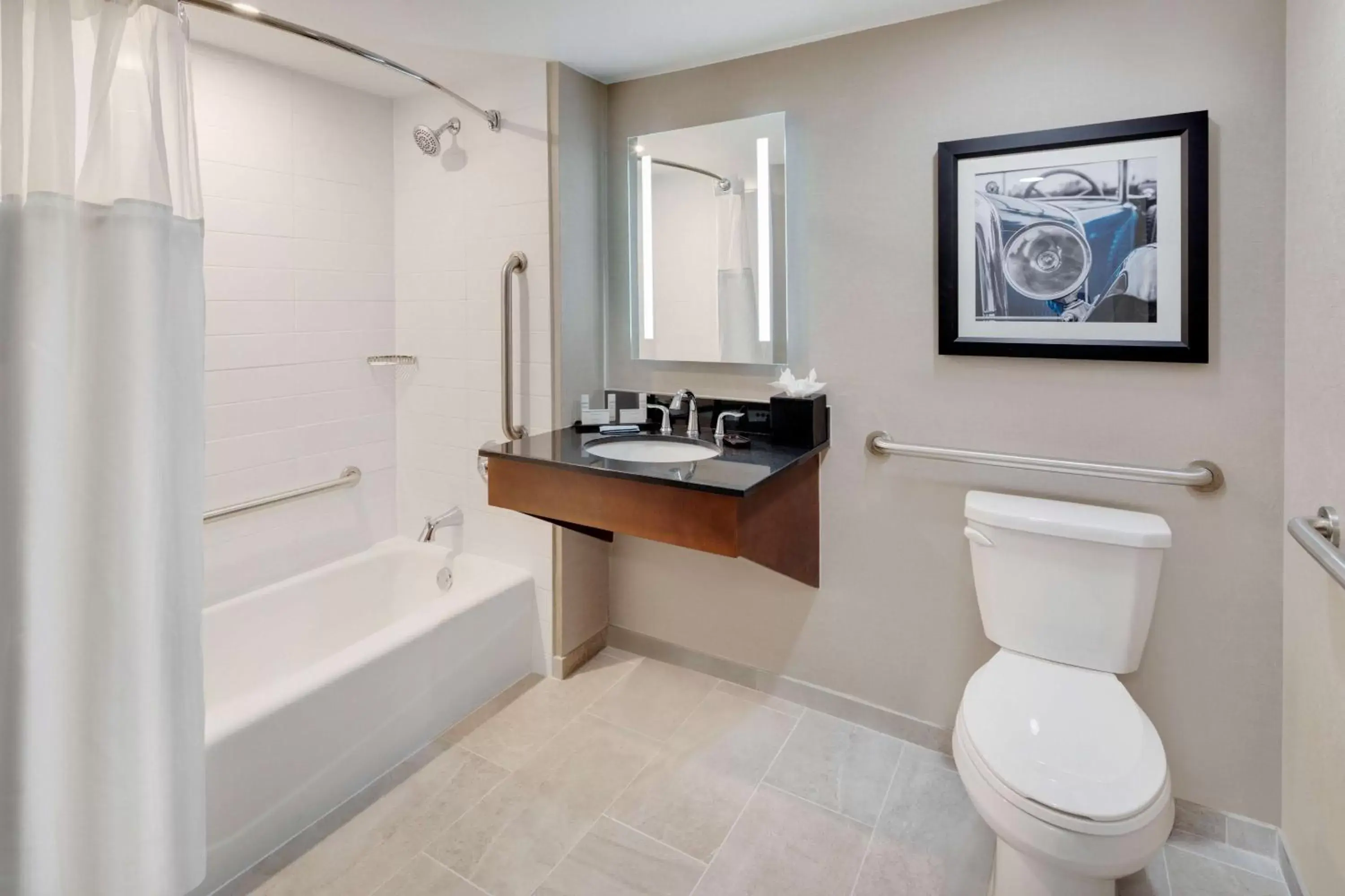 Bathroom in Embassy Suites by Hilton Detroit Troy Auburn Hills