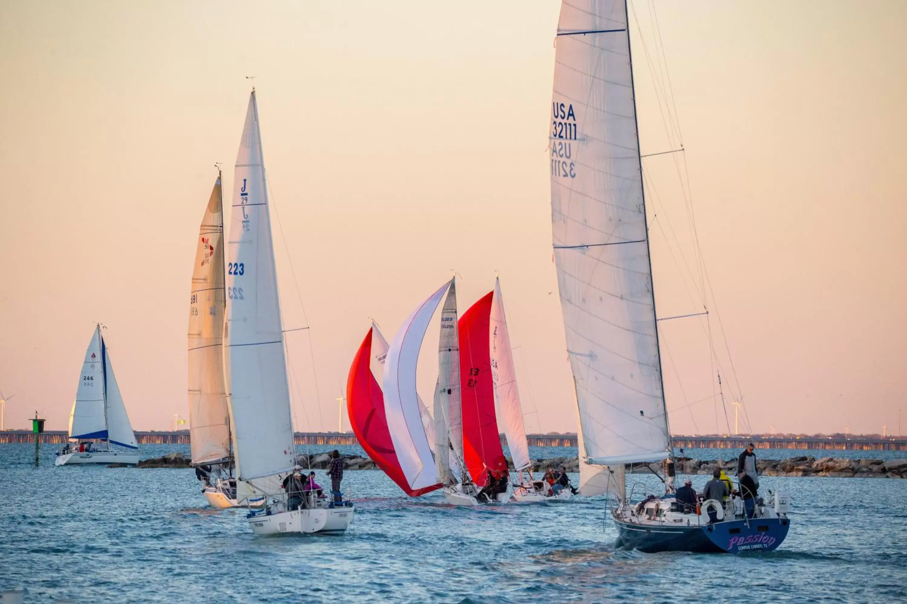 Nearby landmark, Windsurfing in Staybridge Suites Corpus Christi, an IHG Hotel