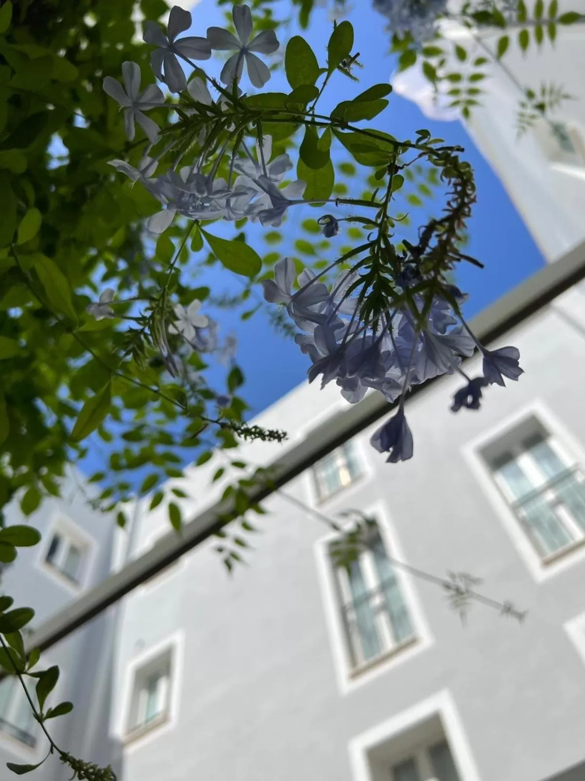 Property building in Hotel San Miguel Menorca