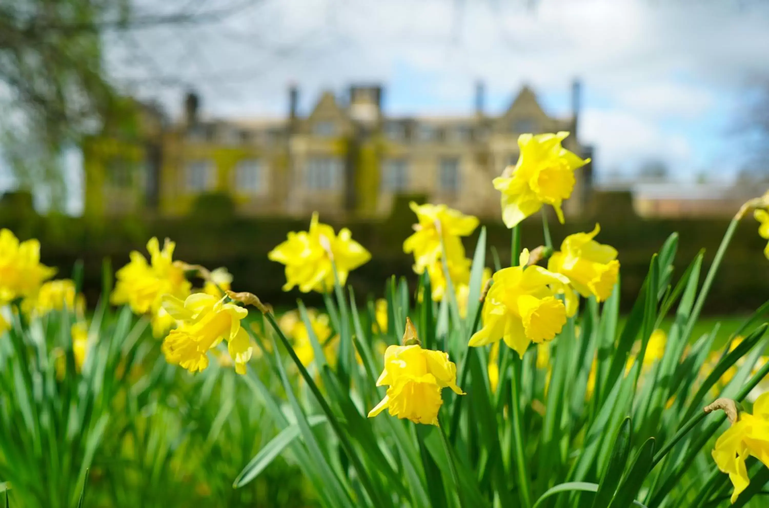 Spring in Gisborough Hall Hotel