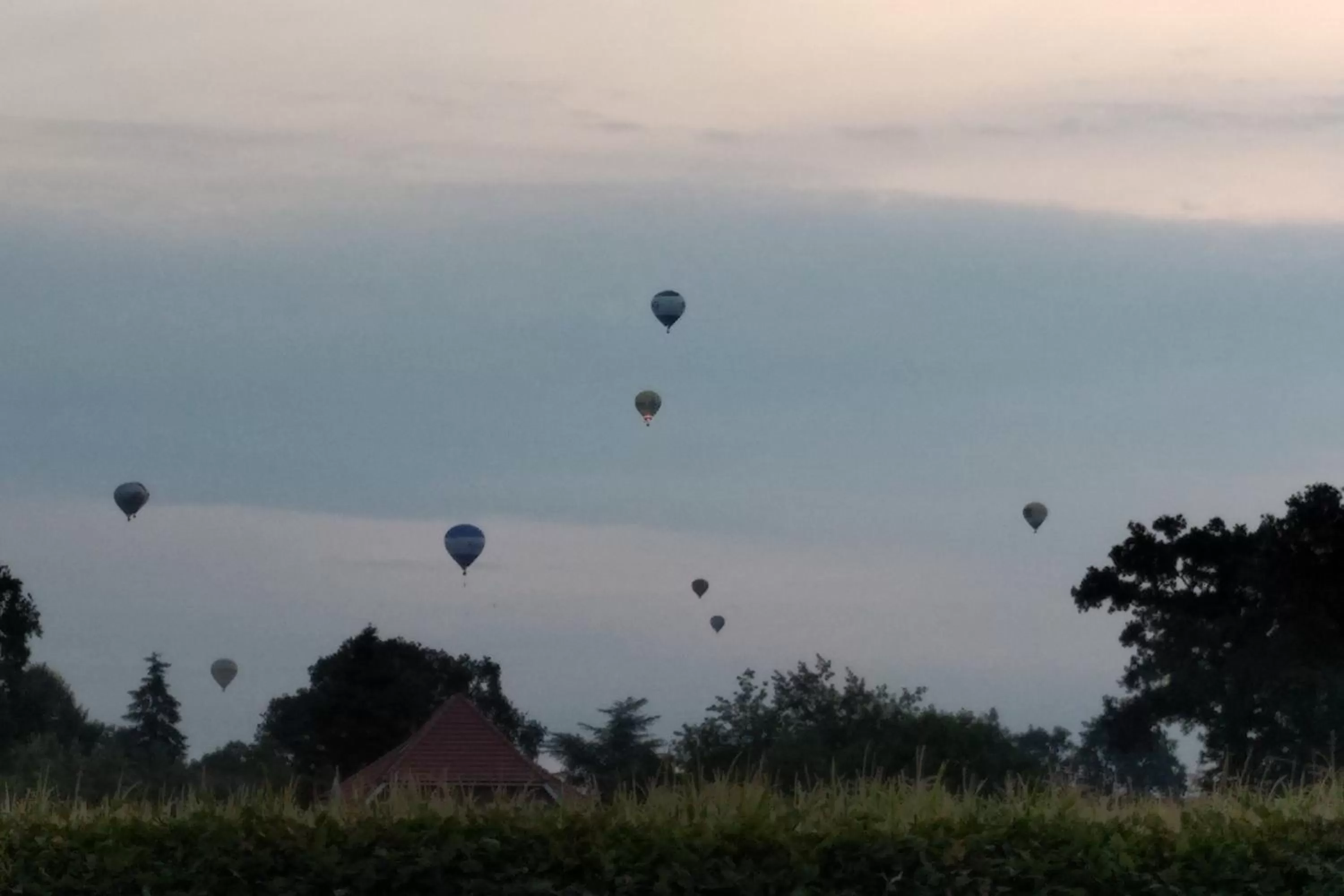 Activities in Landhaus Riedel