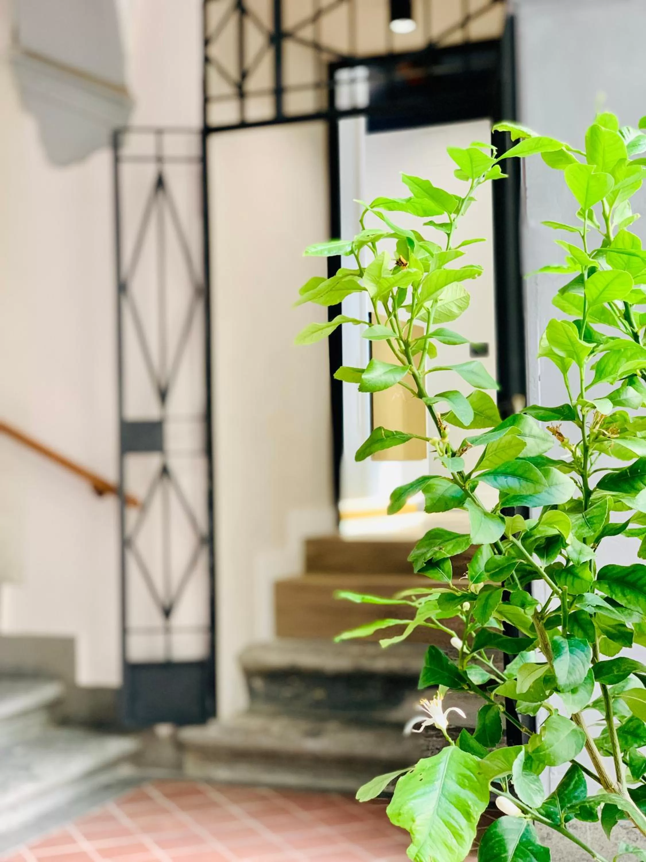 Facade/entrance in Toledo Boutique Rooms