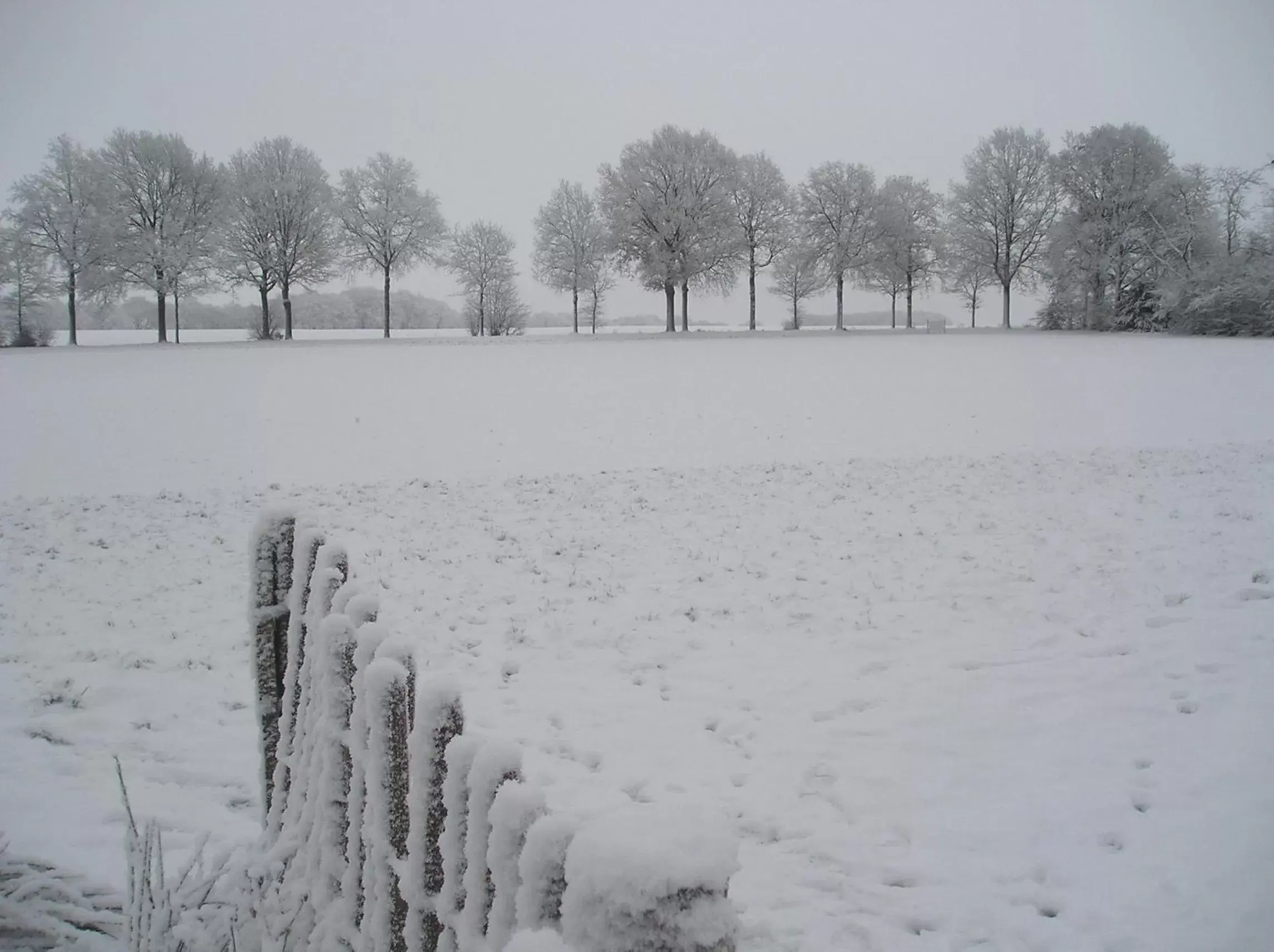 Area and facilities, Winter in 't Rond Bargie