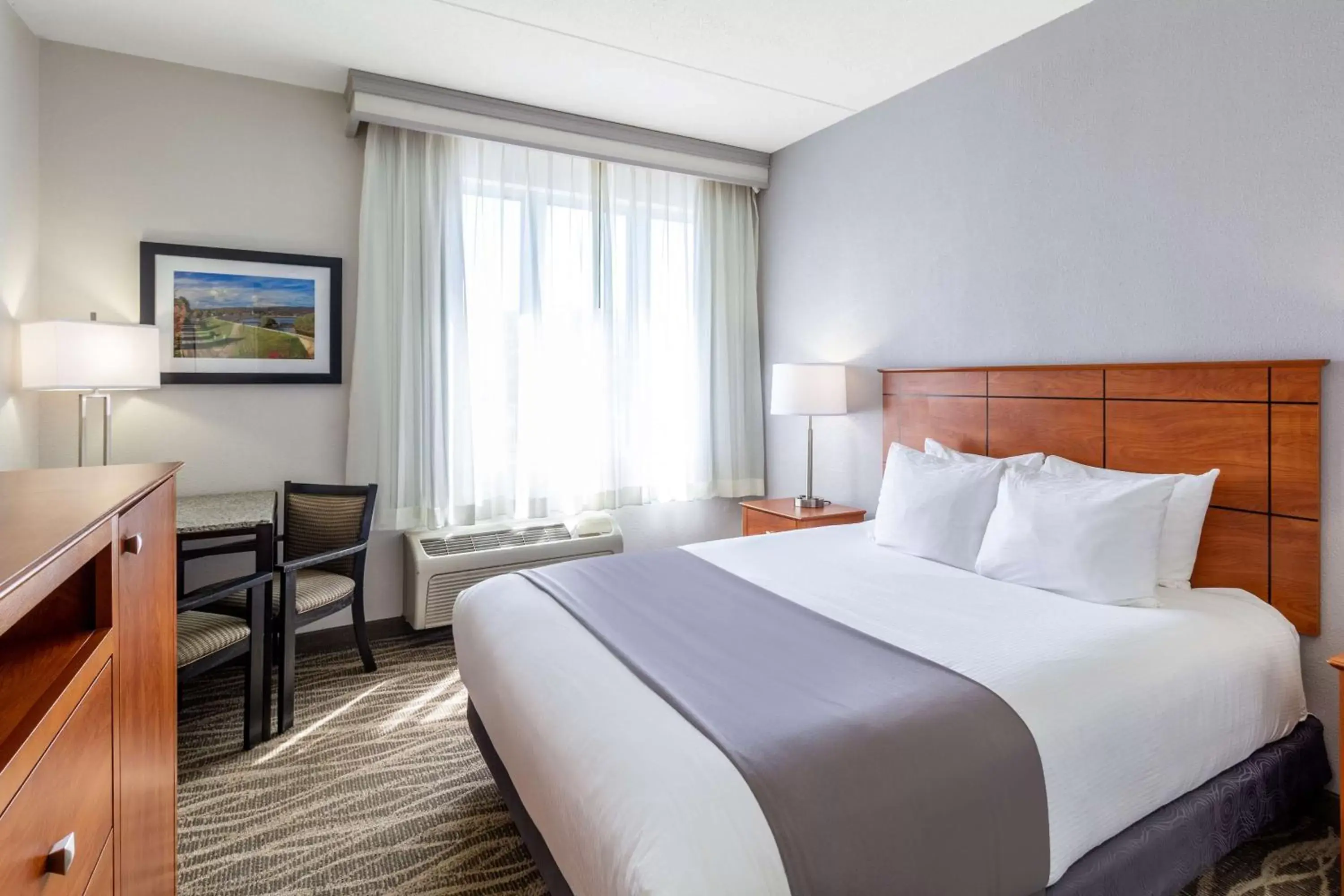 Queen Room - Non-Smoking in Best Western Lock Haven Queen Room - Non-Smoking in Best Western Lock Haven