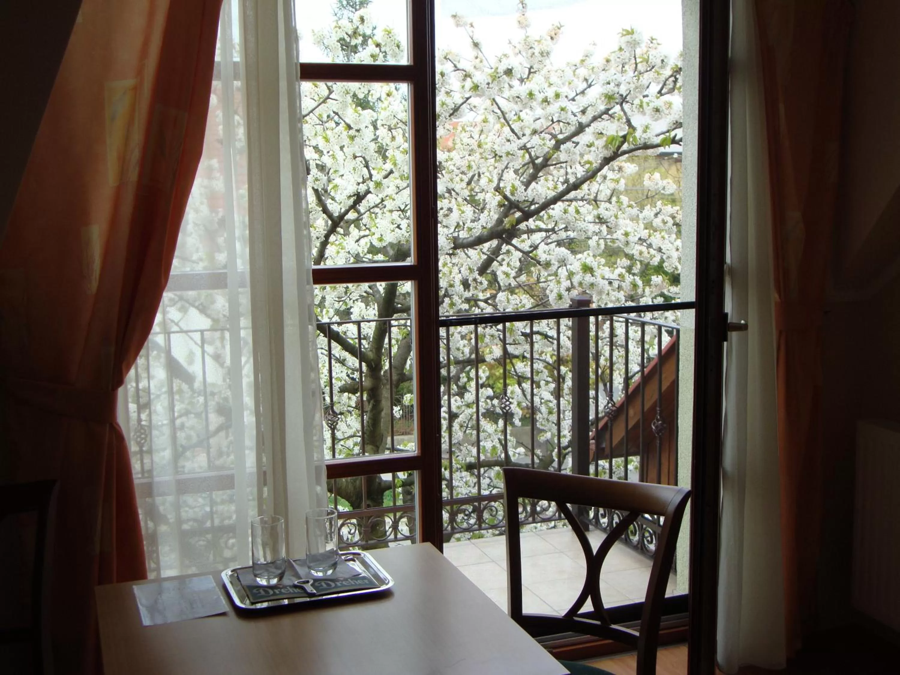 View (from property/room) in Vadászkürt Panzió