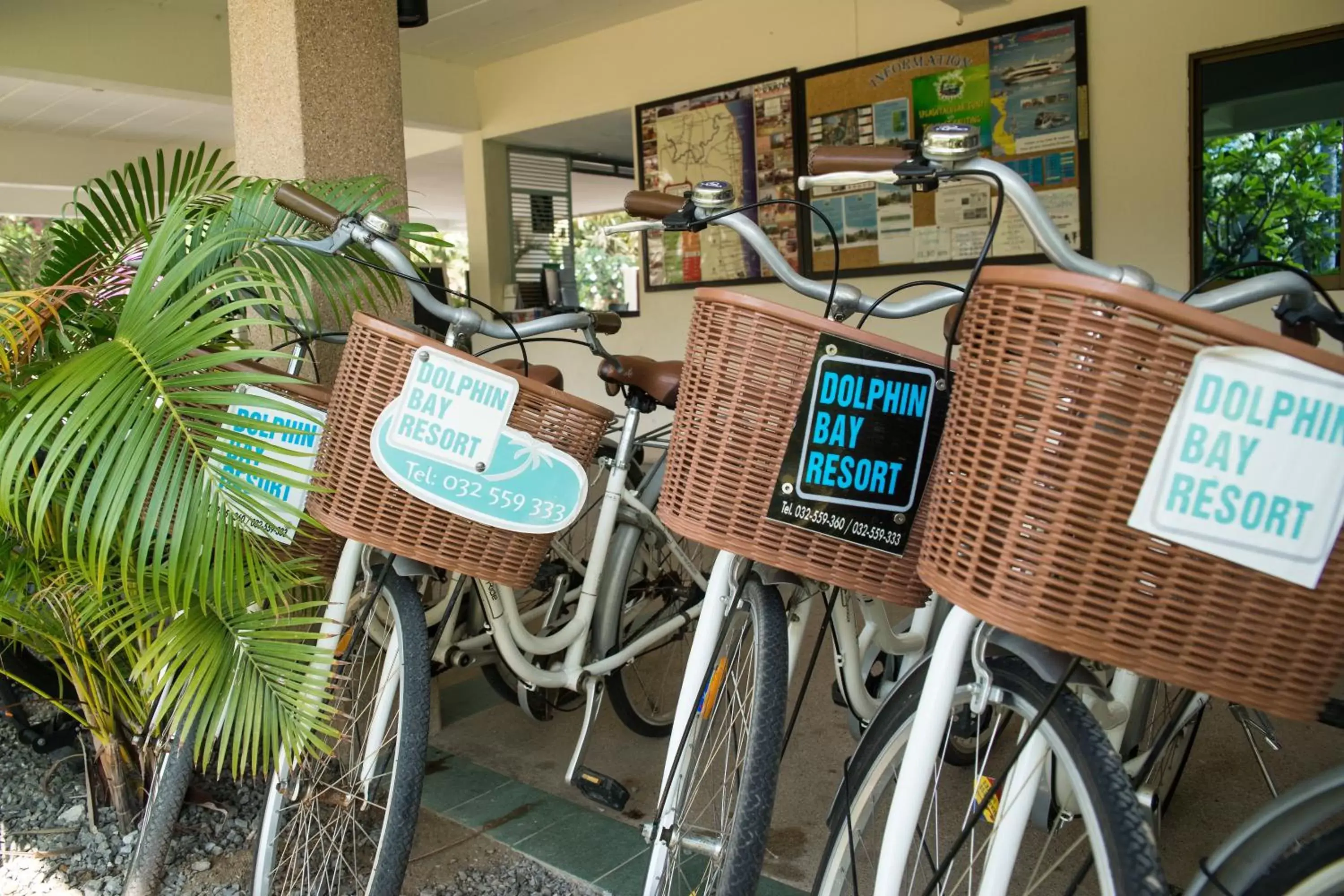 Cycling, Fitness Center/Facilities in Dolphin Bay Beach Resort