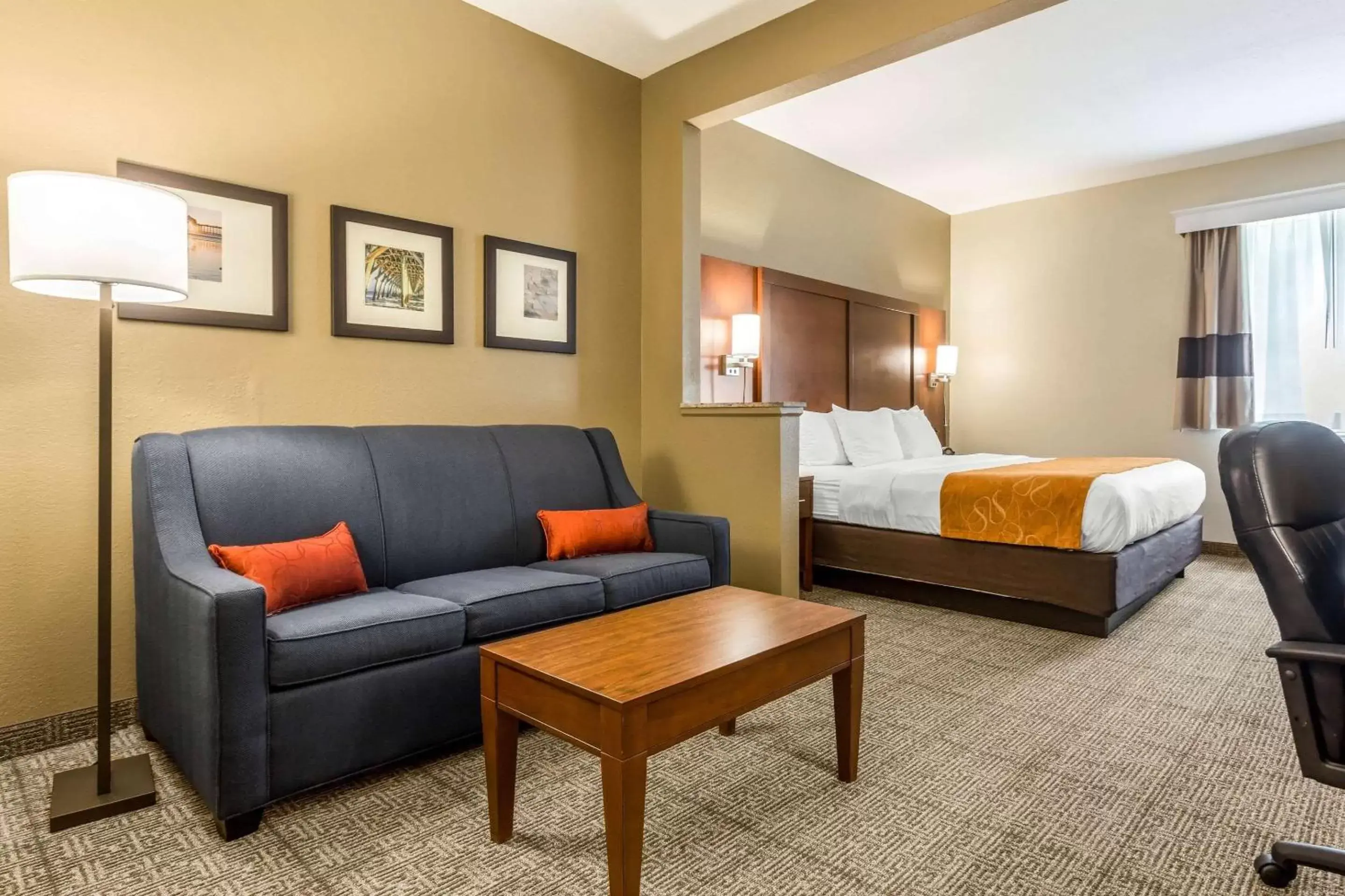 Photo of the whole room in Comfort Suites At the University