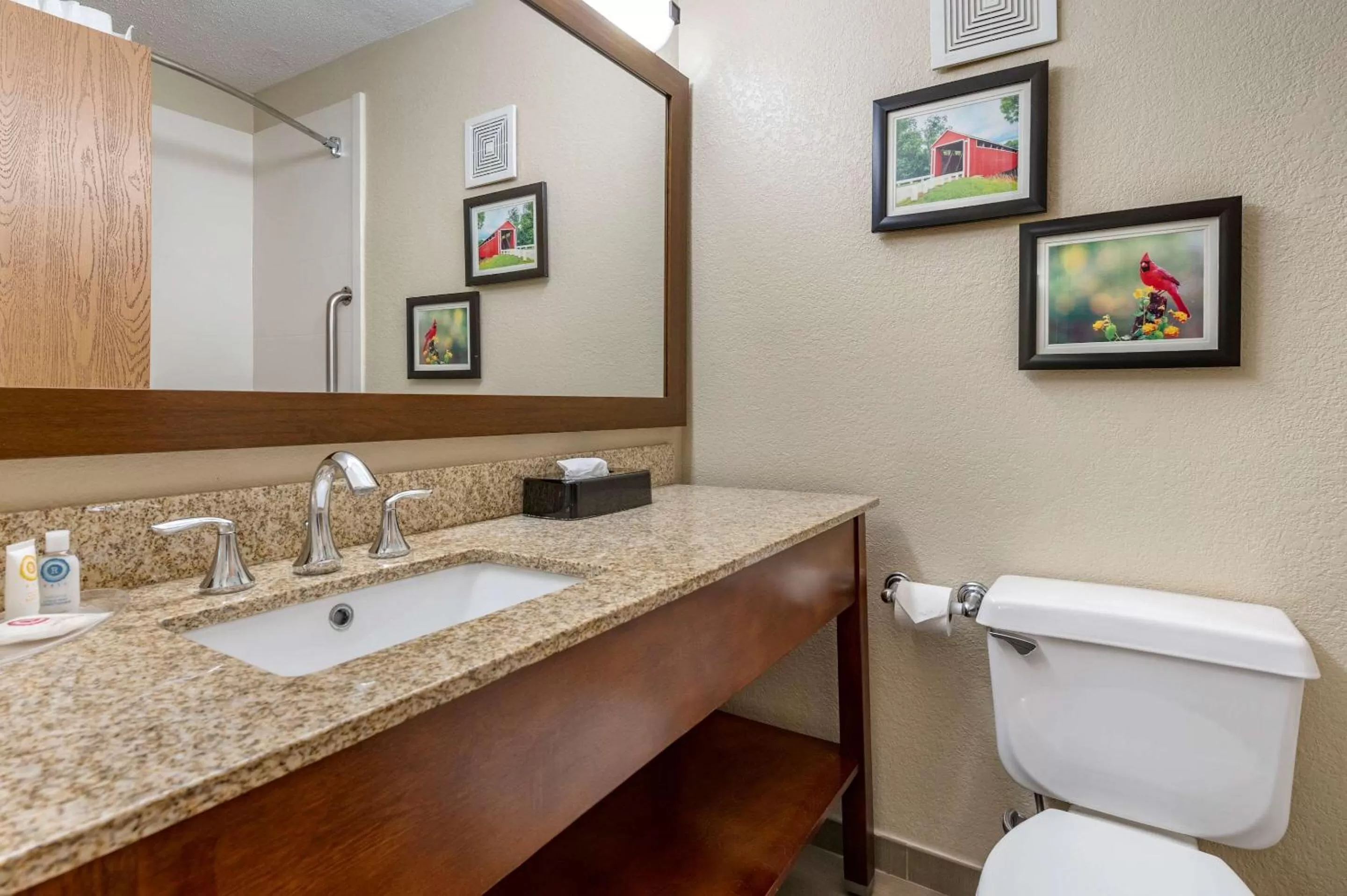 Bathroom in Comfort Inn Near Kokomo Speedway