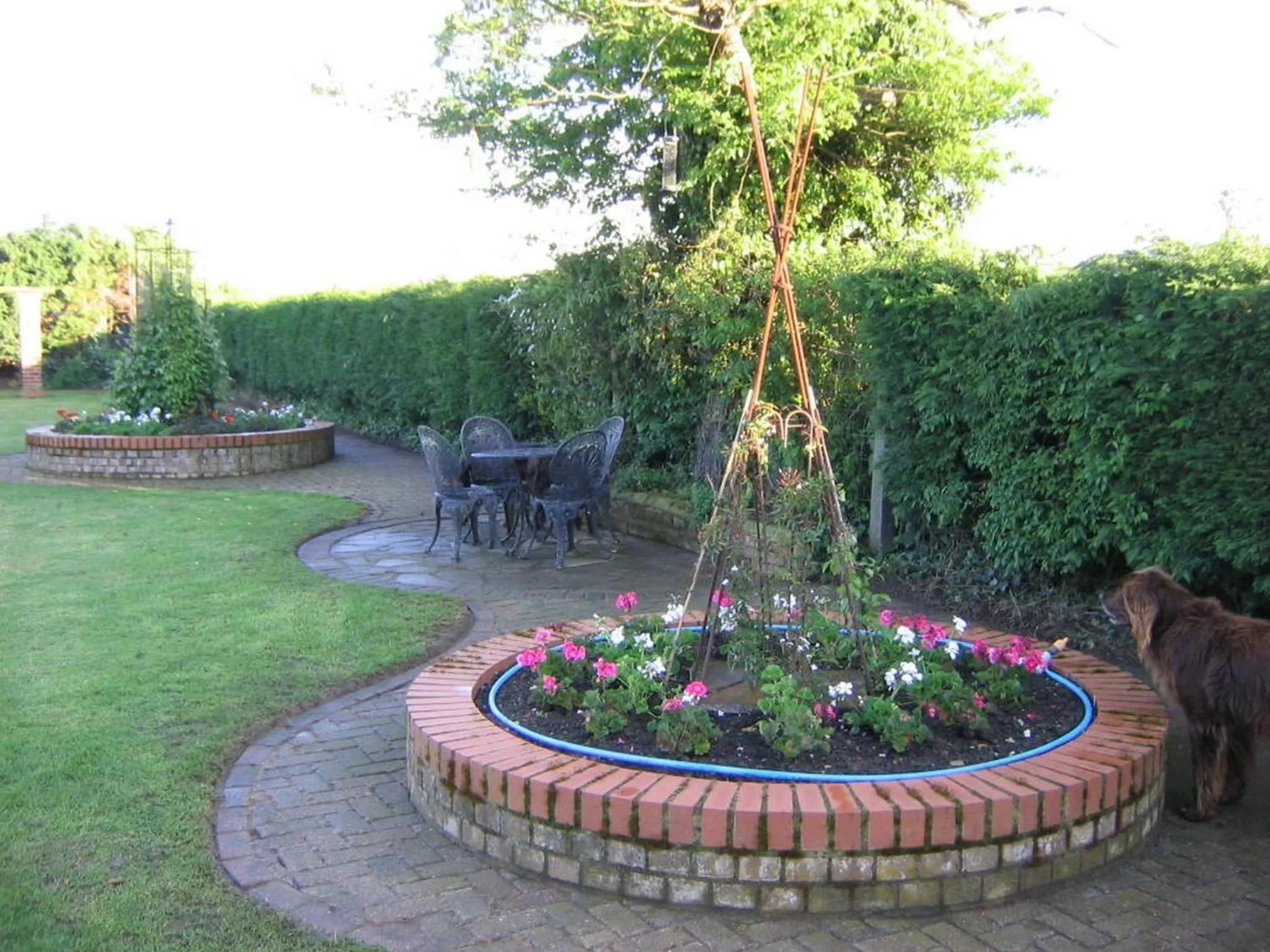 Garden in Pointers Guest House