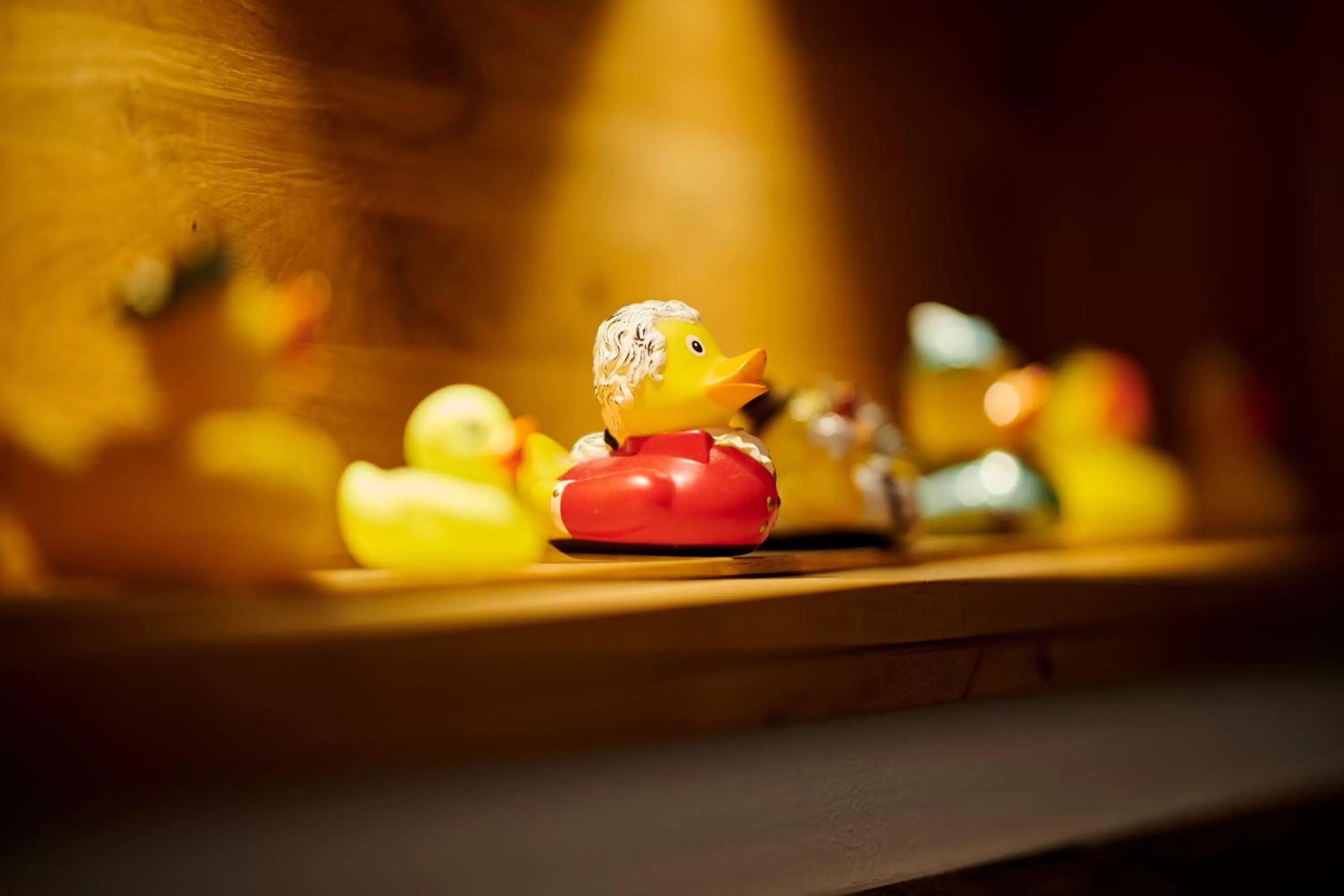 Sauna in Hotel Bannwaldsee