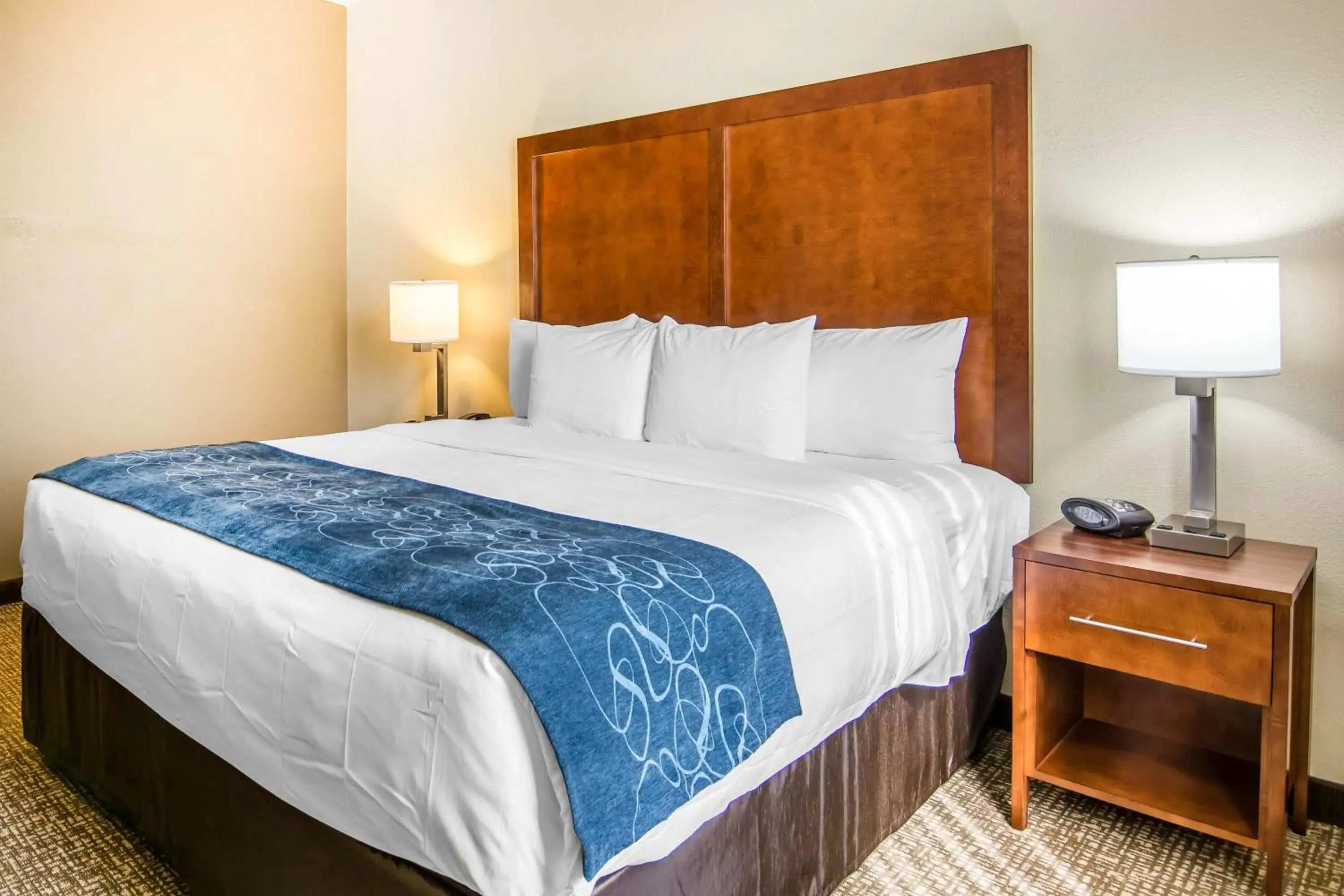 Bedroom, Bed in Comfort Suites Fredericksburg South