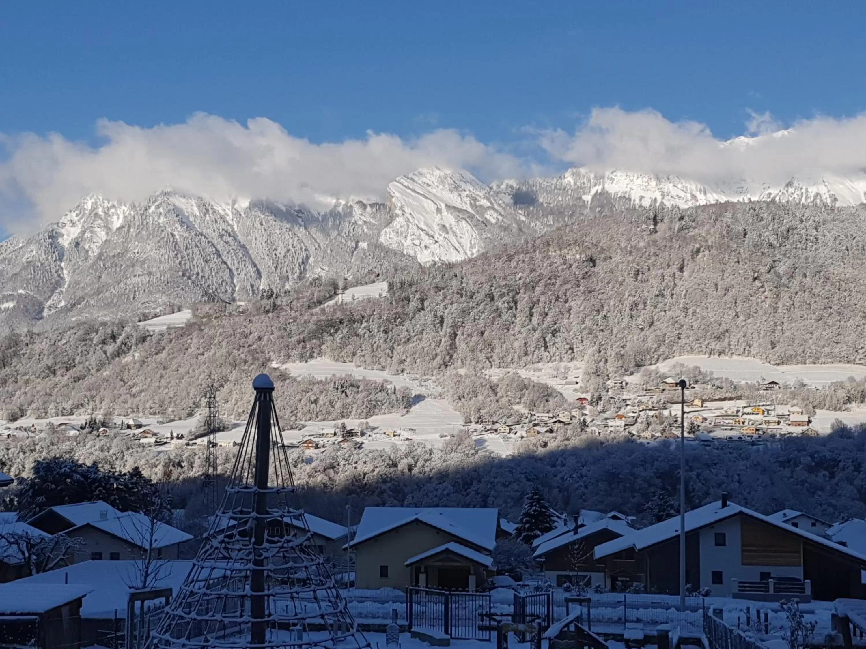 Natural landscape, Winter in Chalet les Myrtilles