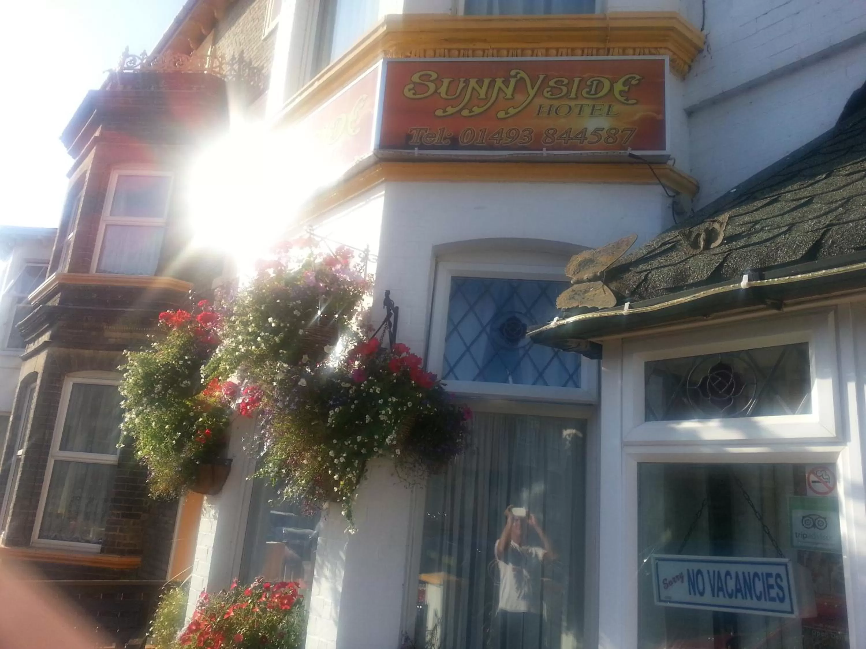 Garden in Sunnyside Hotel