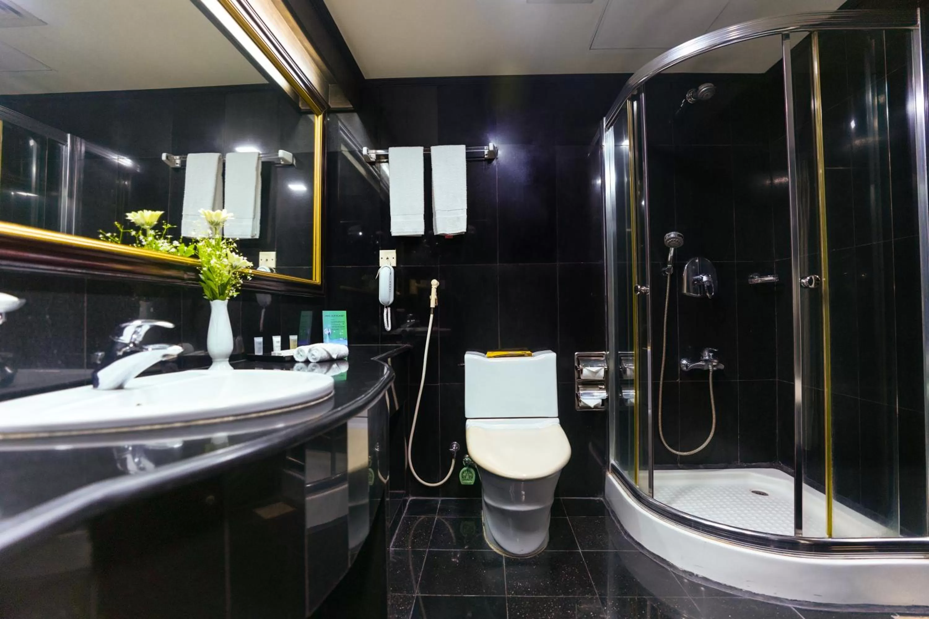 Bathroom in Hotel Sarina