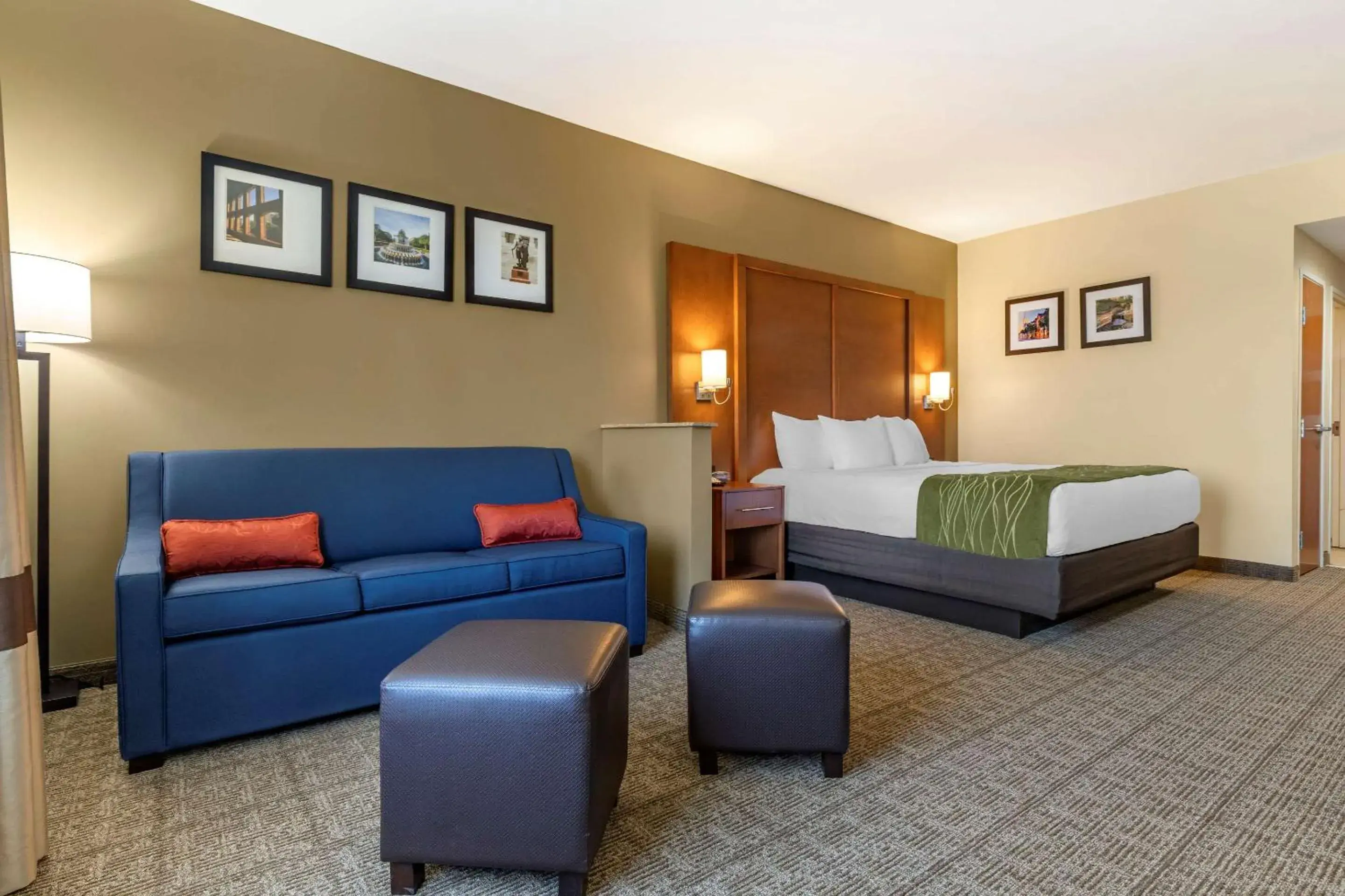 Photo of the whole room in Comfort Inn & Suites Orangeburg