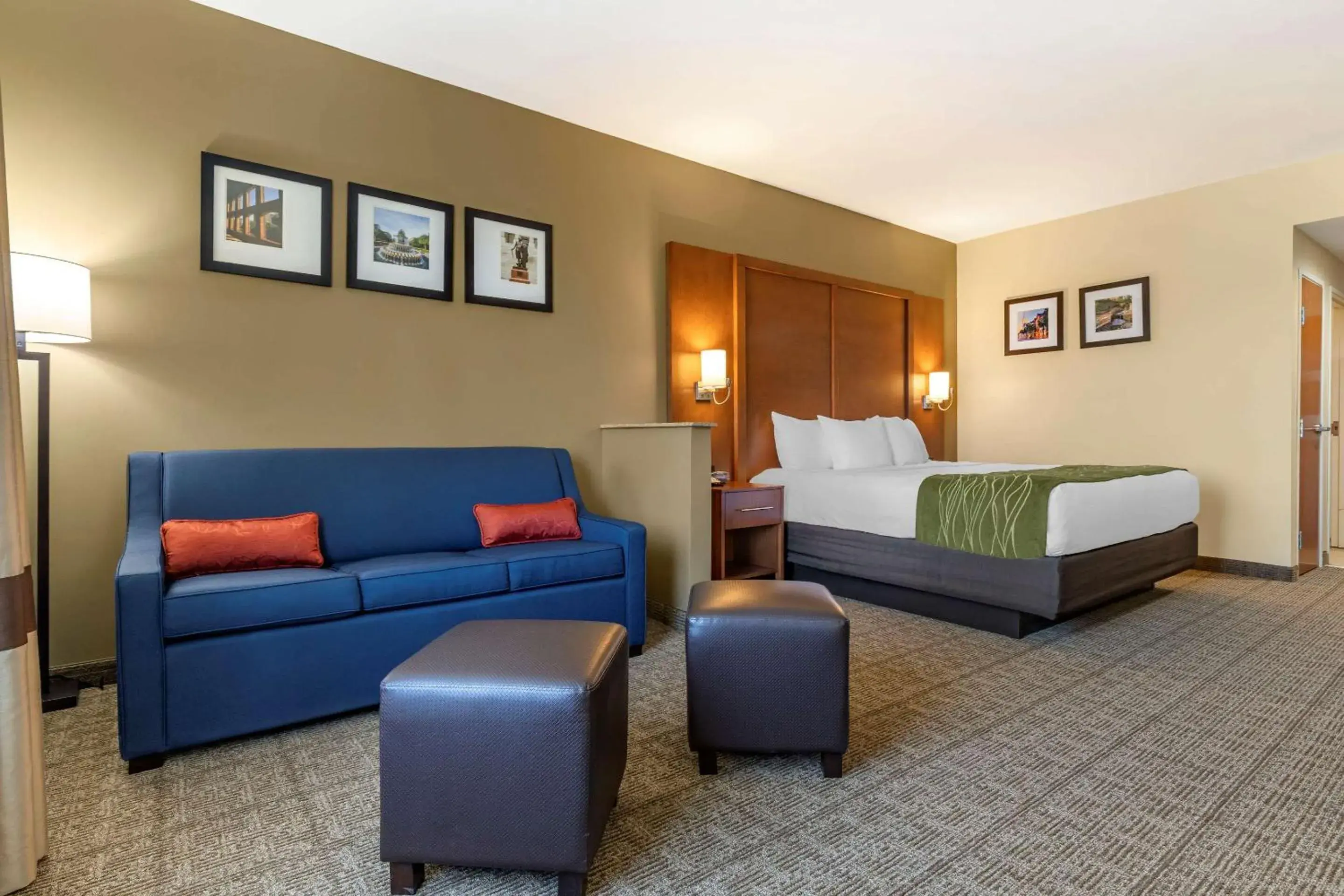 King Suite - Accessible/Non-Smoking in Comfort Inn & Suites Orangeburg King Suite - Accessible/Non-Smoking in Comfort Inn & Suites Orangeburg