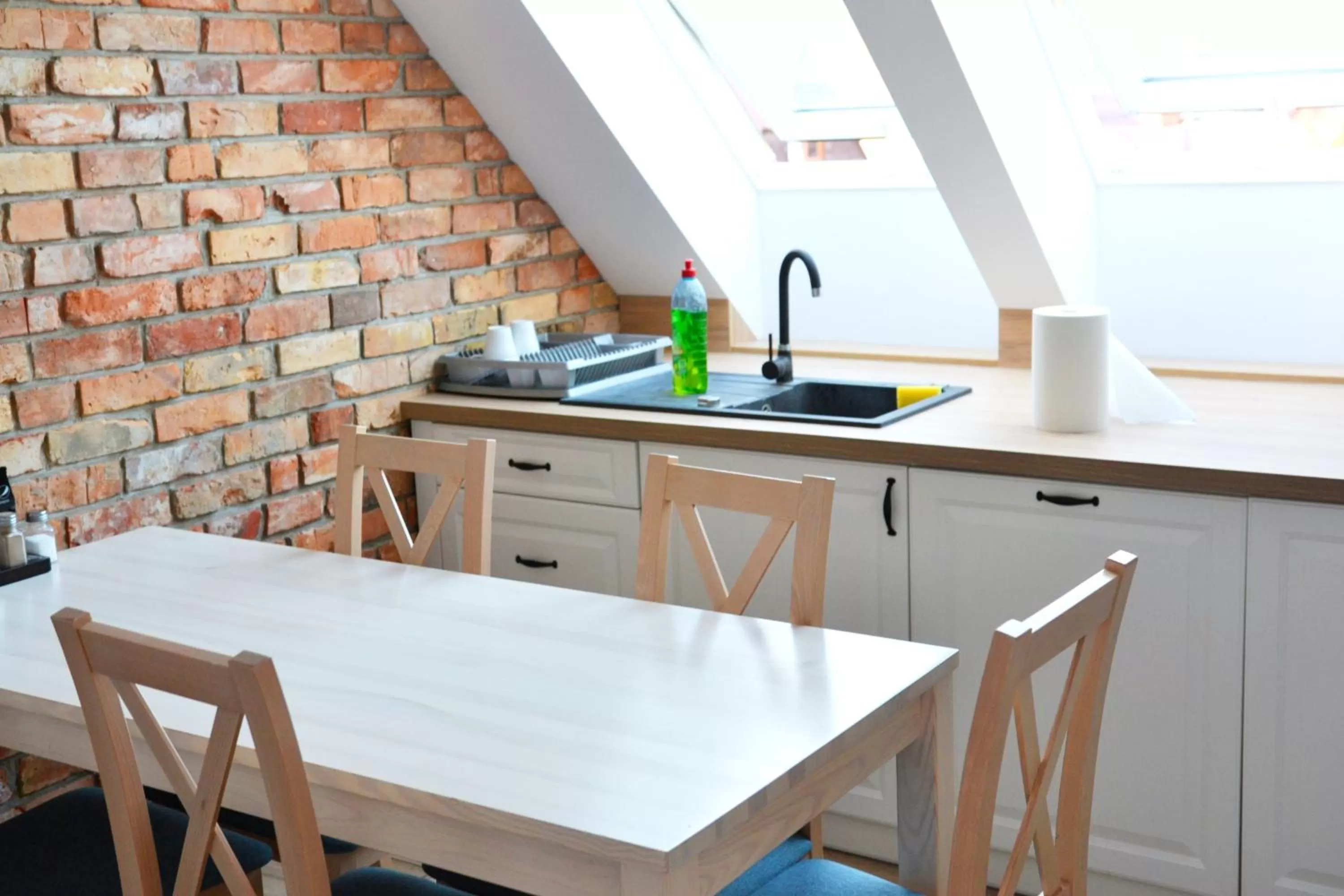 Kitchen or kitchenette in Willa ŻeglarSki